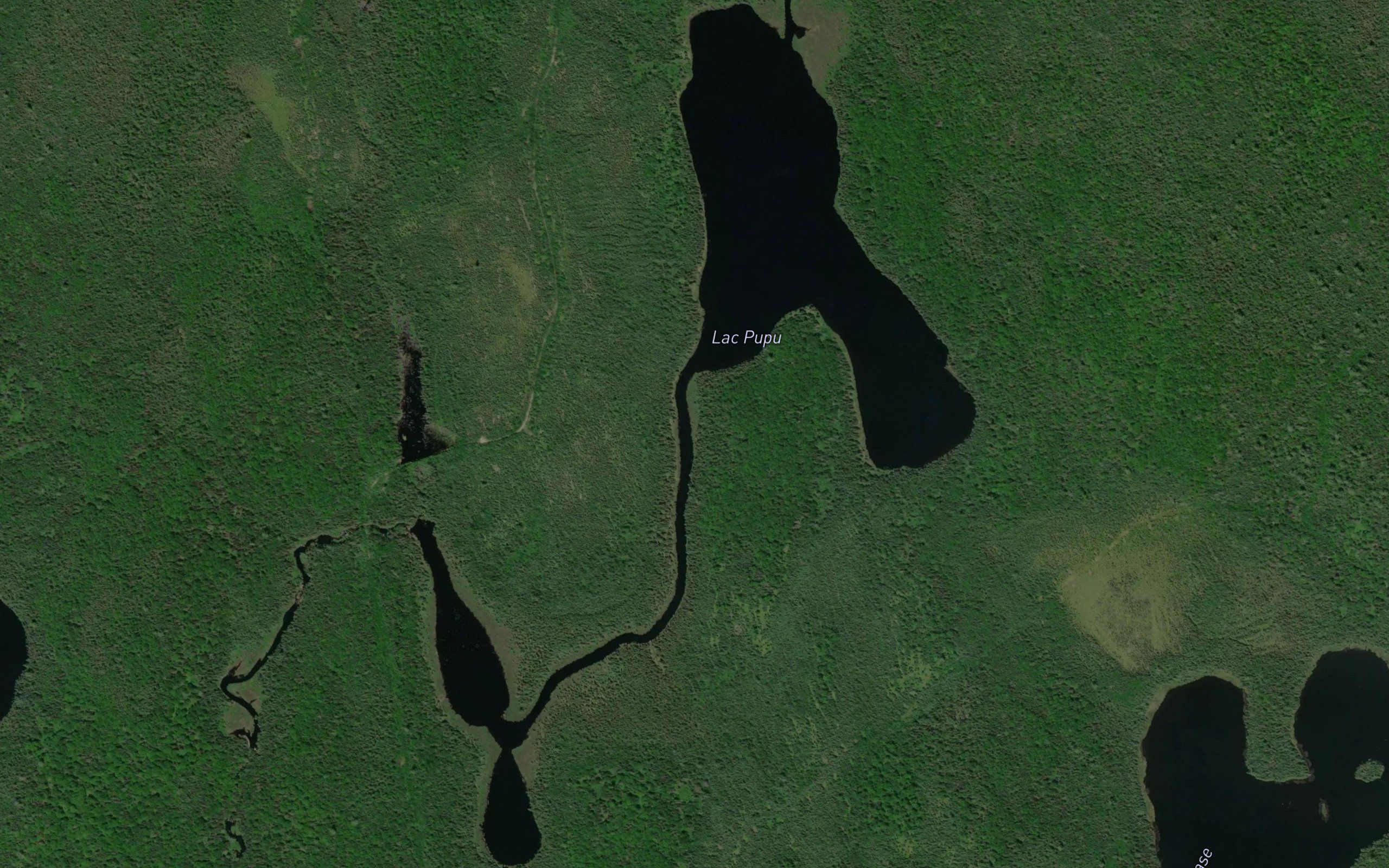 Lac Pupu