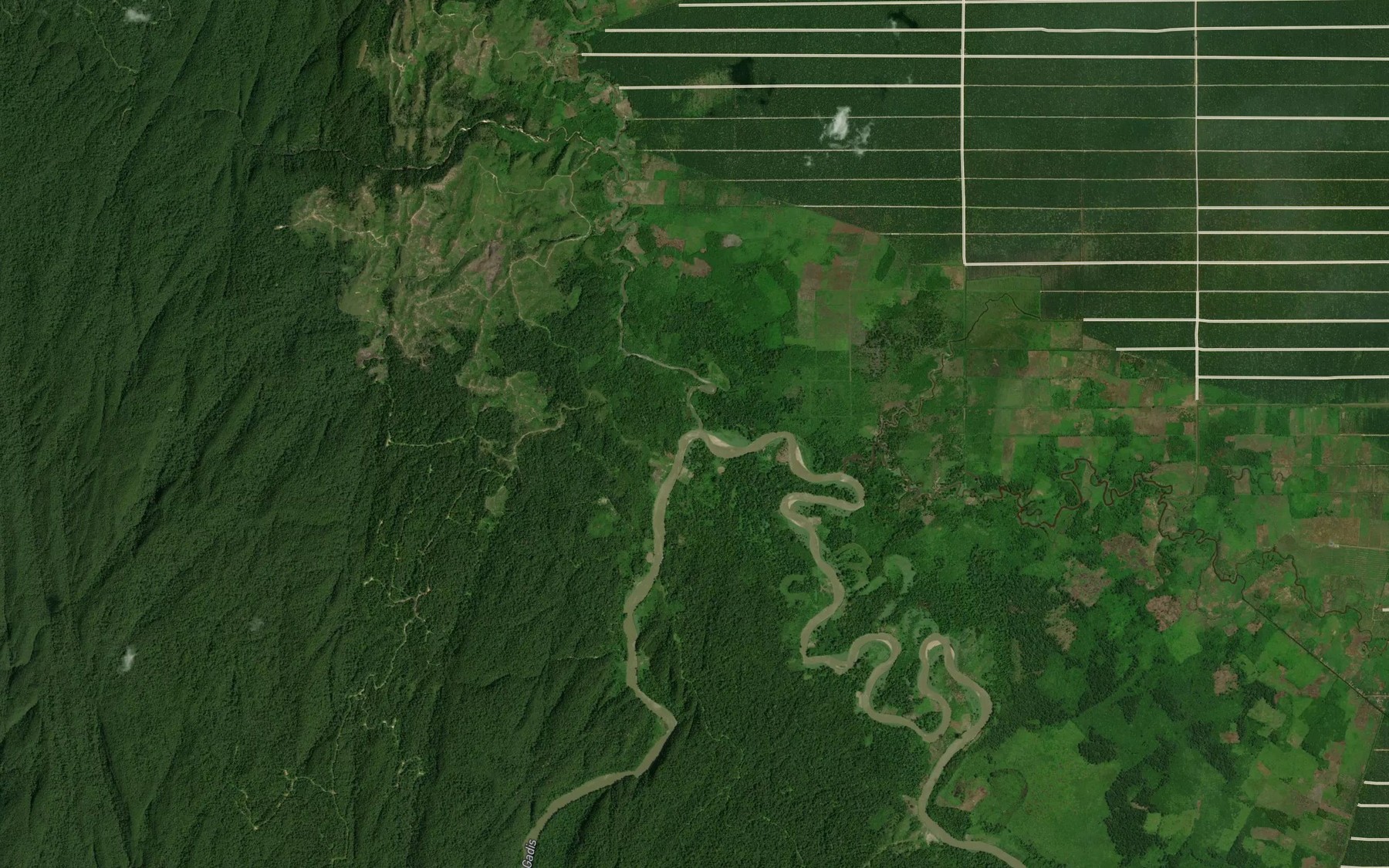Satellite map of the Batang Salai