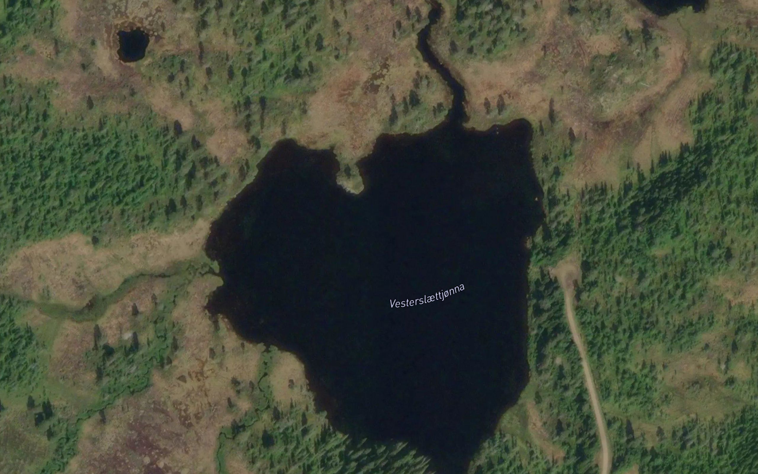 Vesterslettjorna