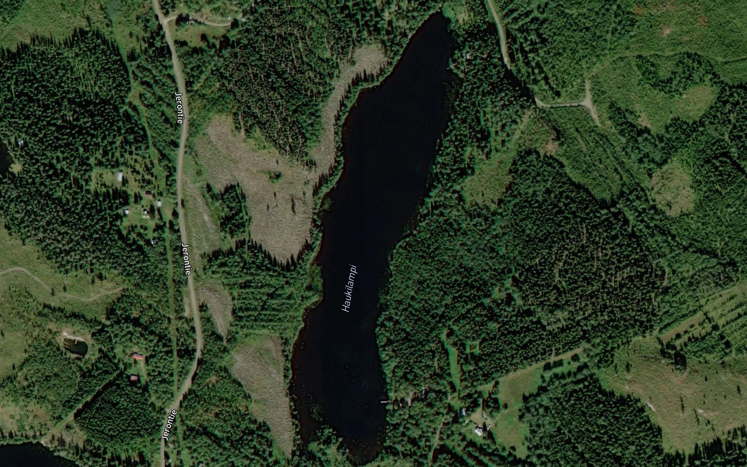 Haukilampi