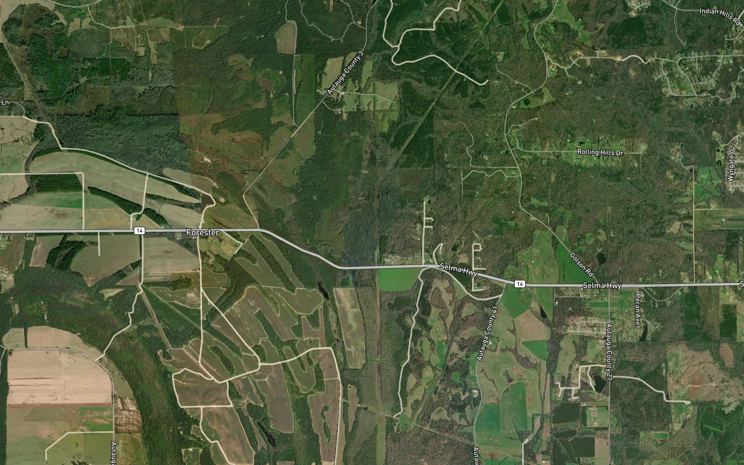 Haney Branch