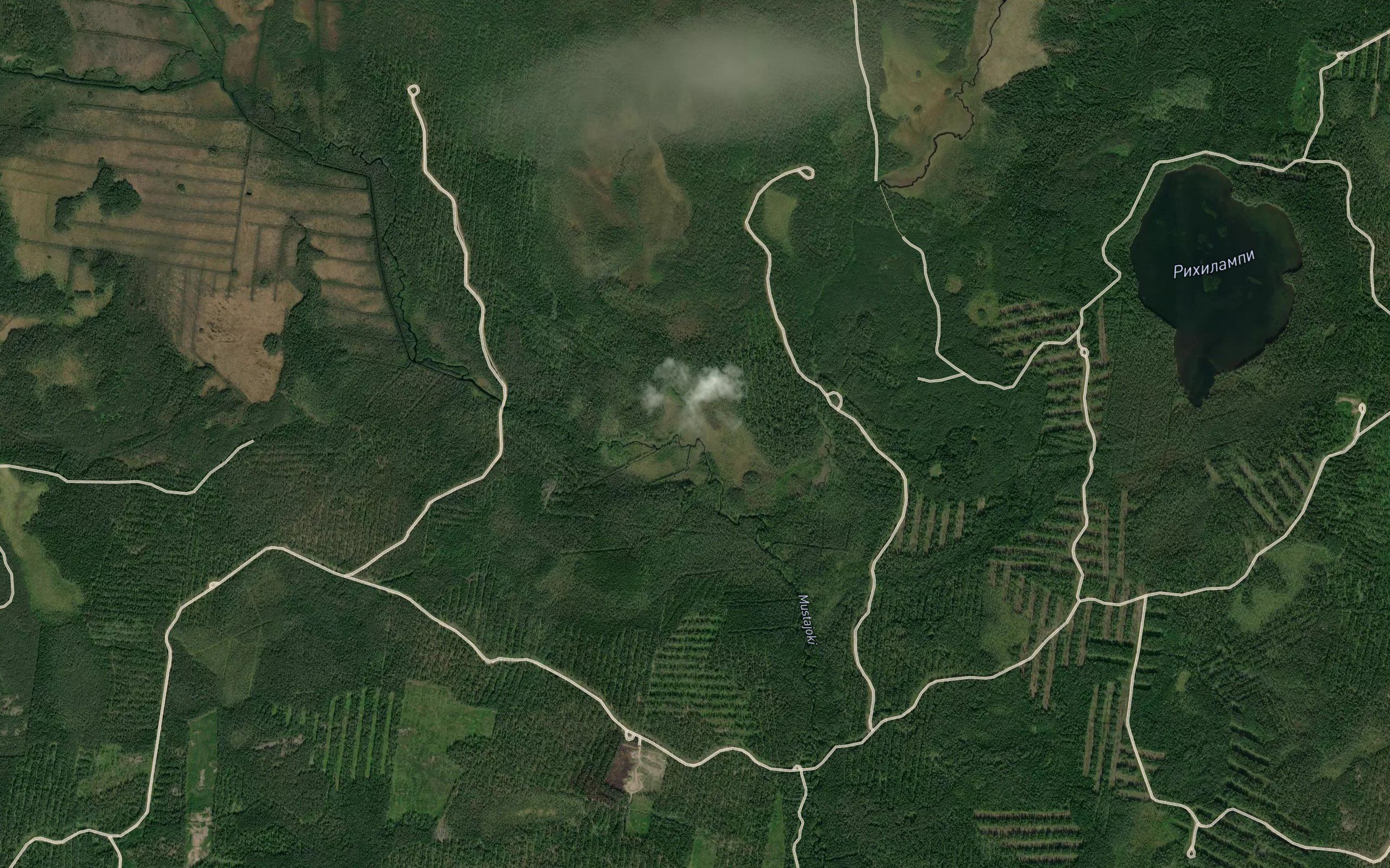 Oksoya