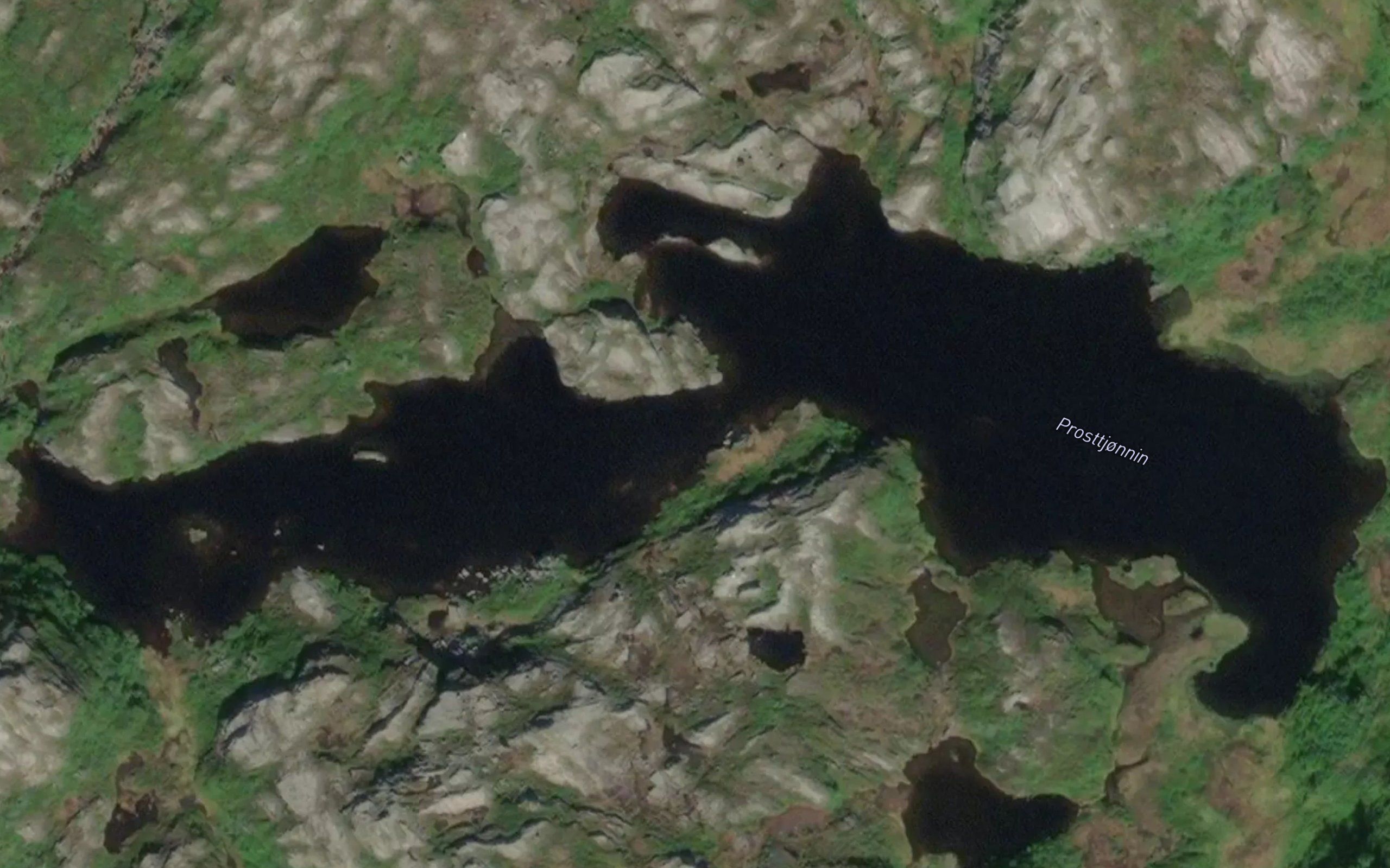 Prosttjornin