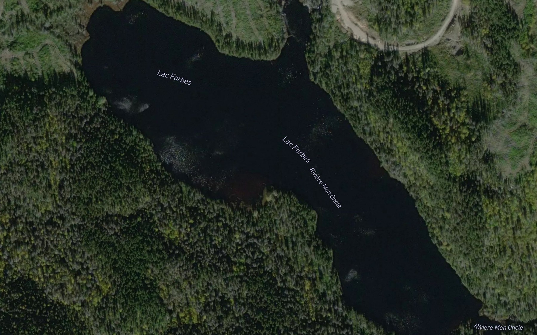 Satellite map of the Lac Forbes