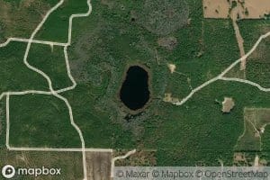 Boggs Pond