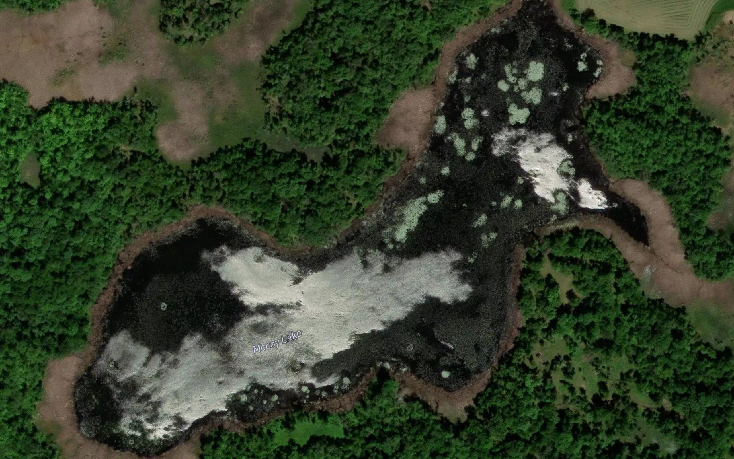 McCoy Lake
