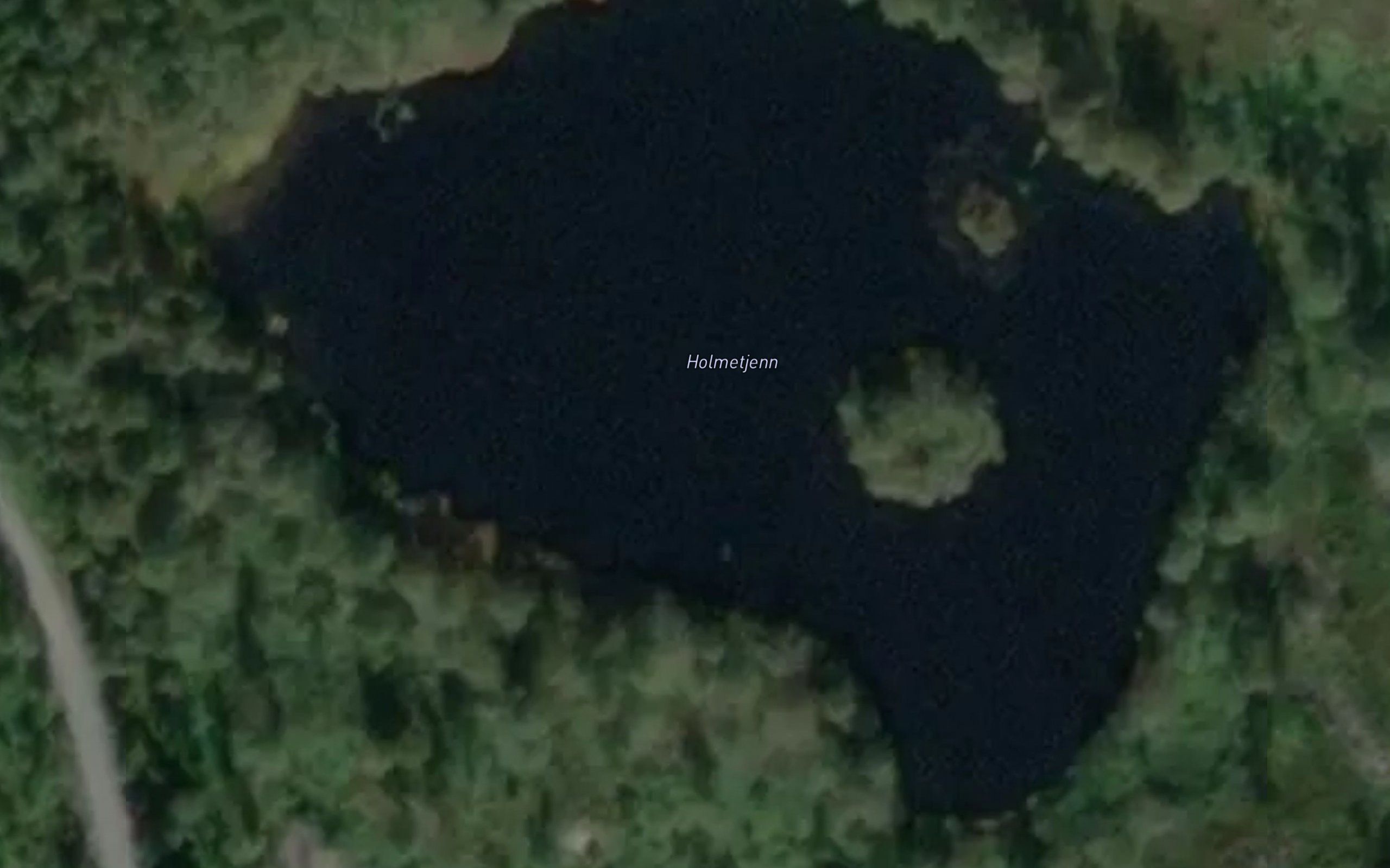 Holmetjorn