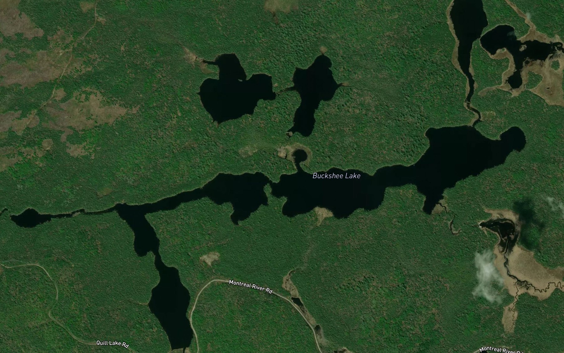 Satellite map of the Buckshee Lake