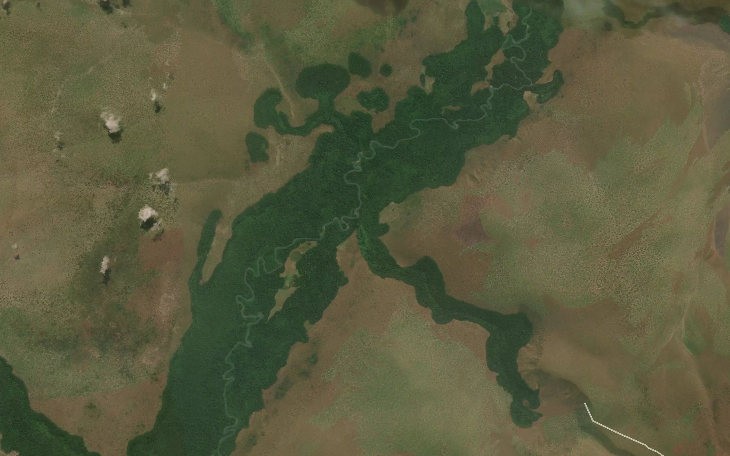 Ngonfon