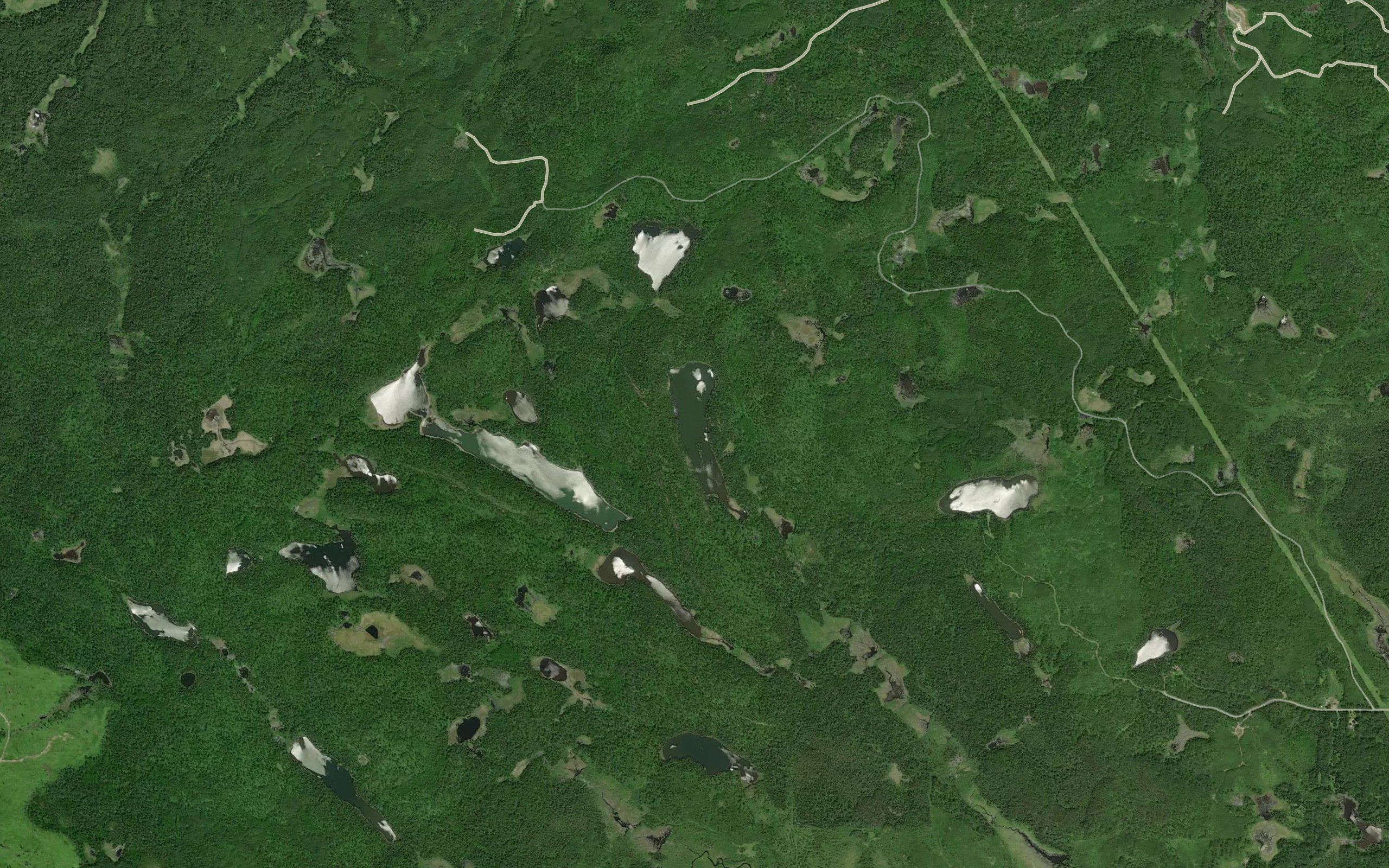 Gold Lake