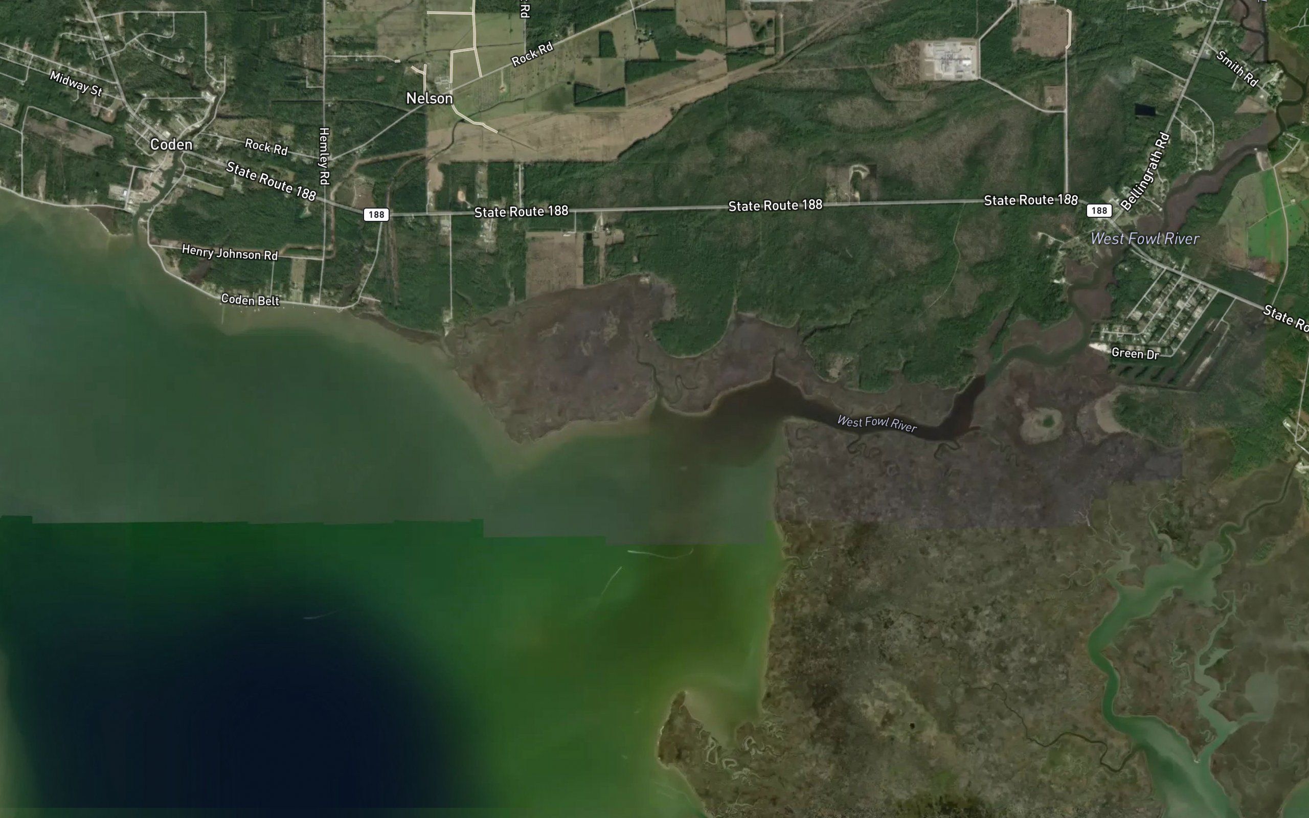 Negro Bayou