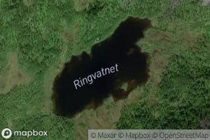 Ringvatnet