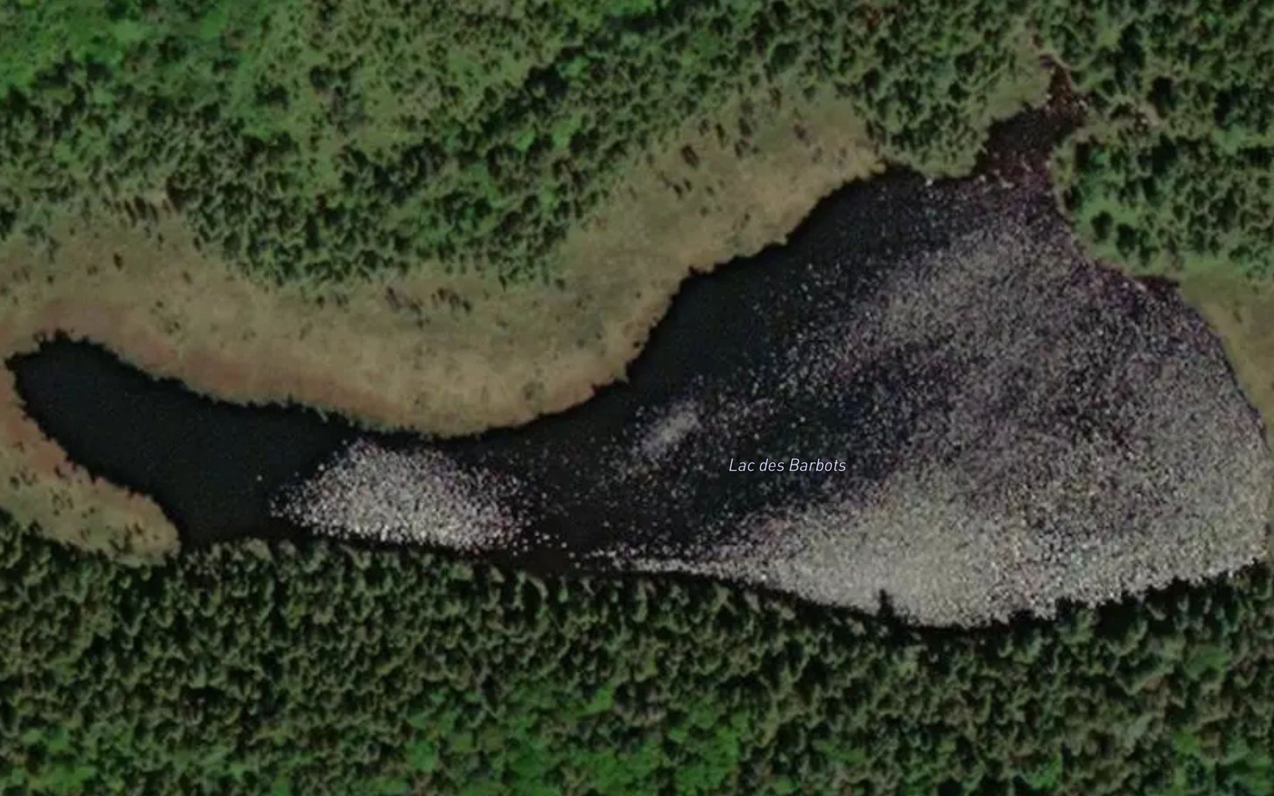Lac des Barbots