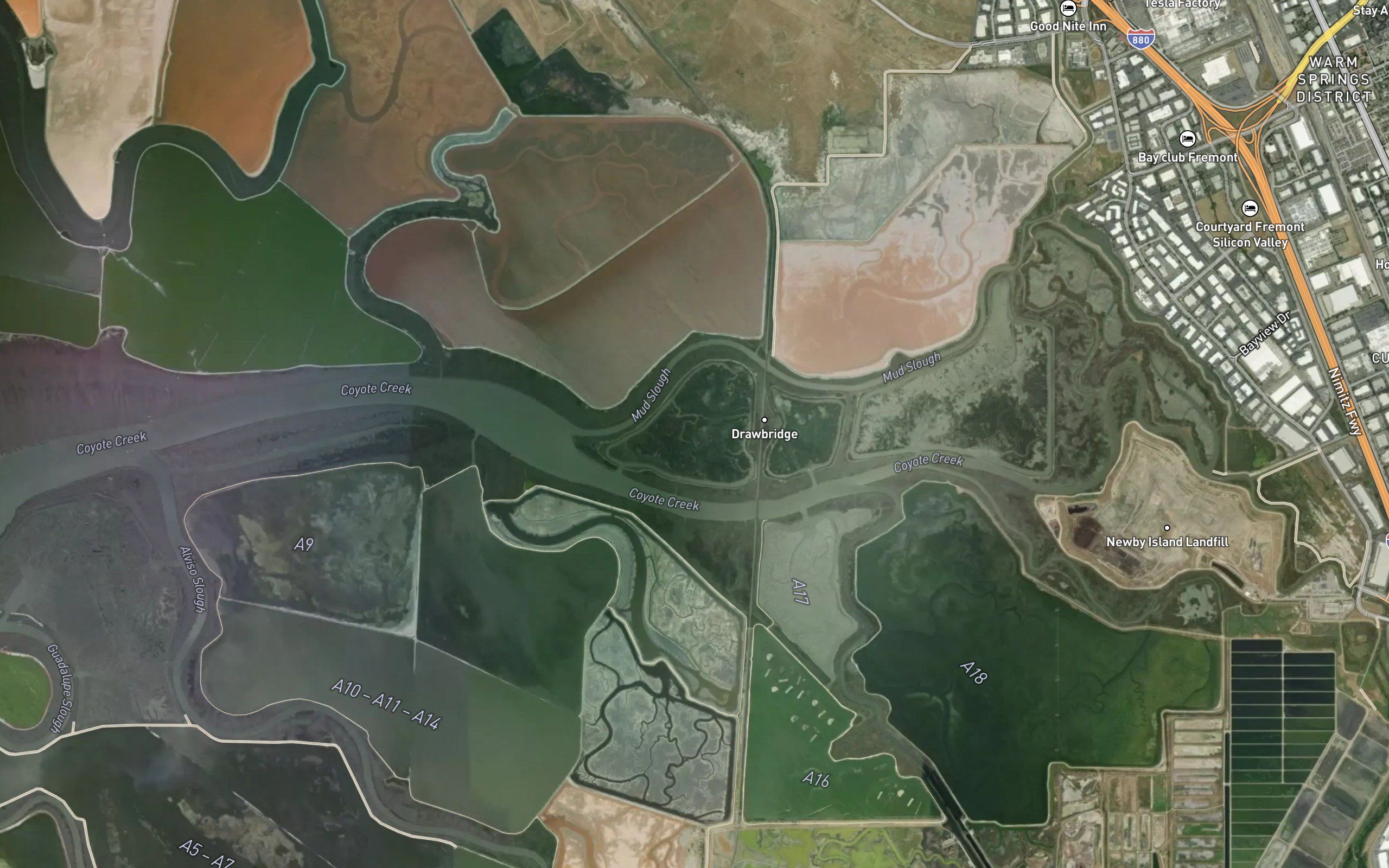 Salt Pond A21