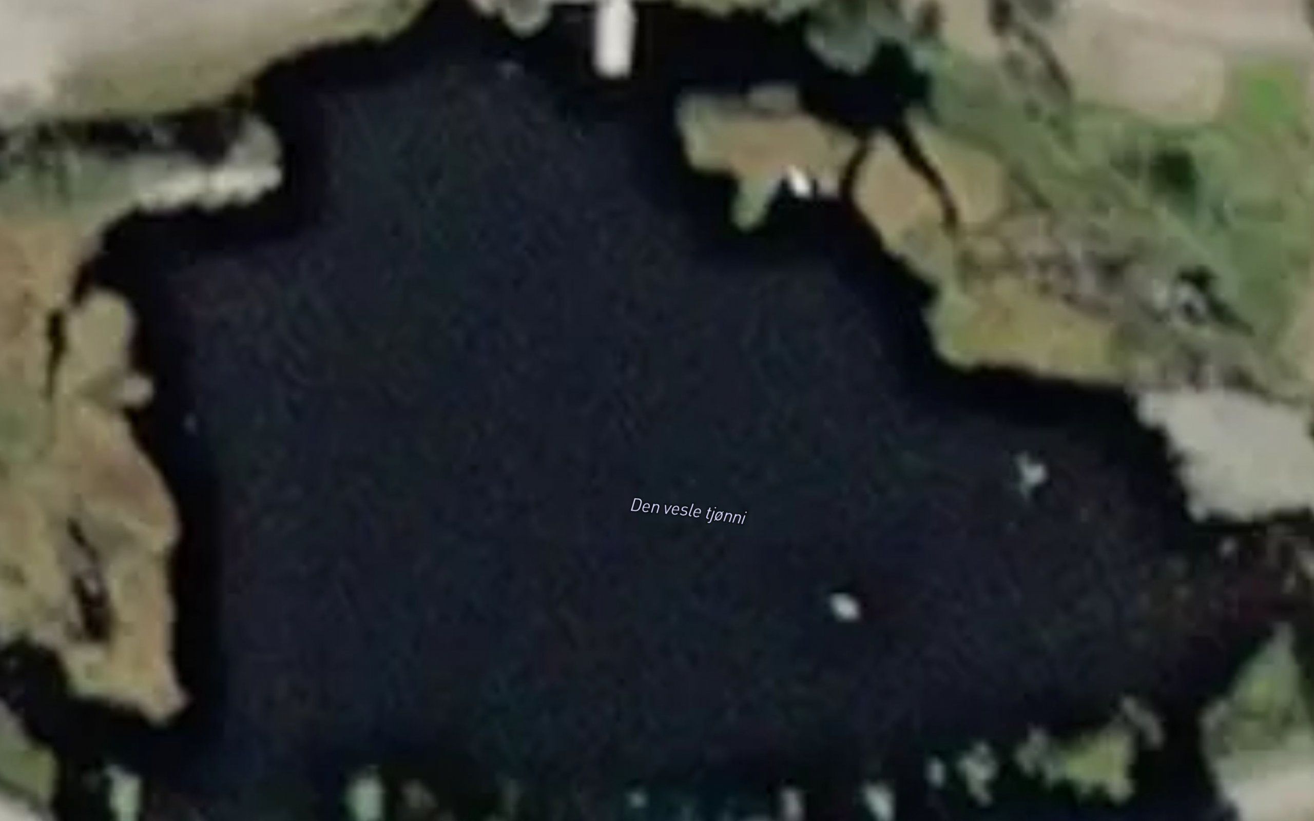 Den vesle tjonni