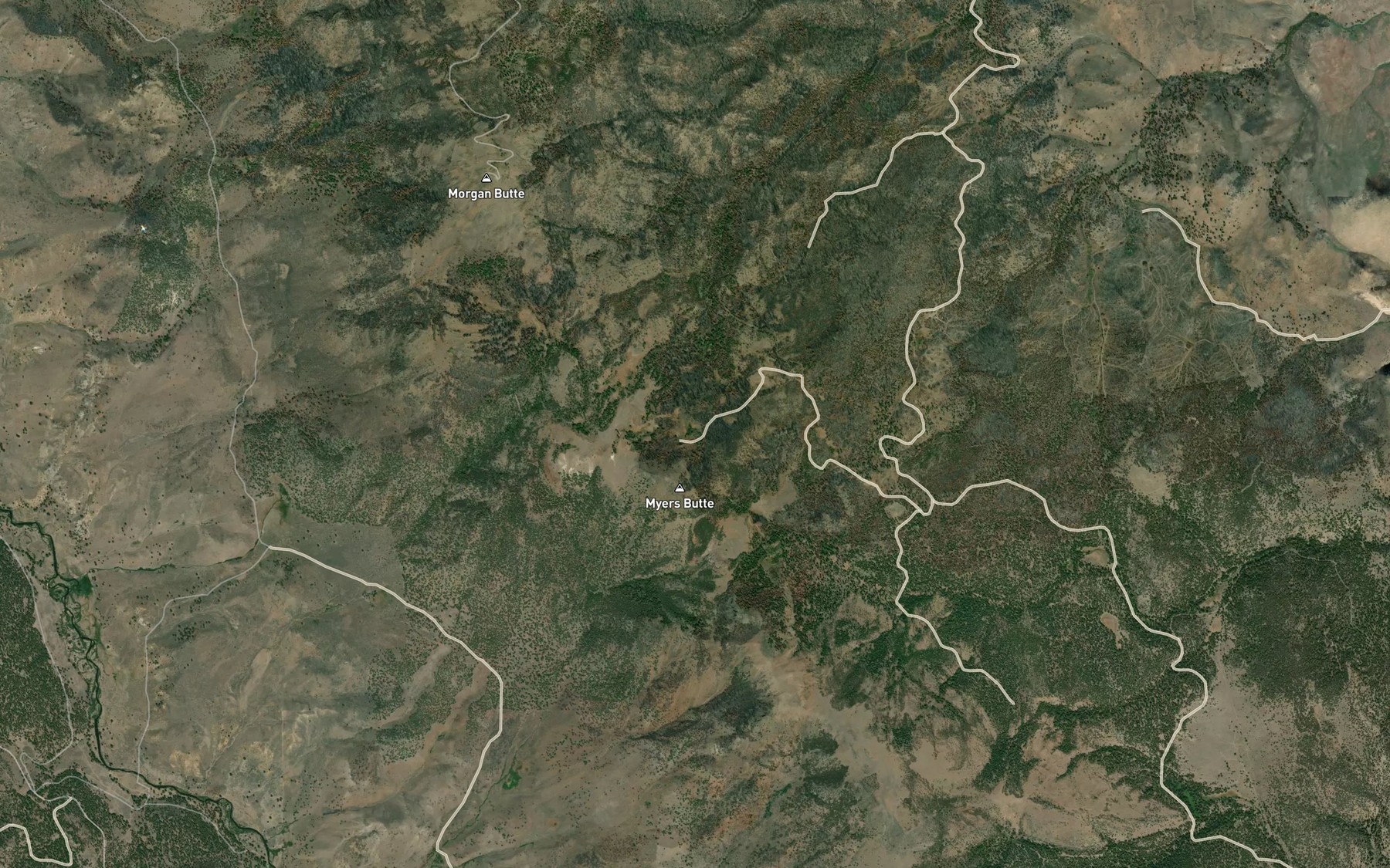 Satellite map of the Myers Meadow Spring