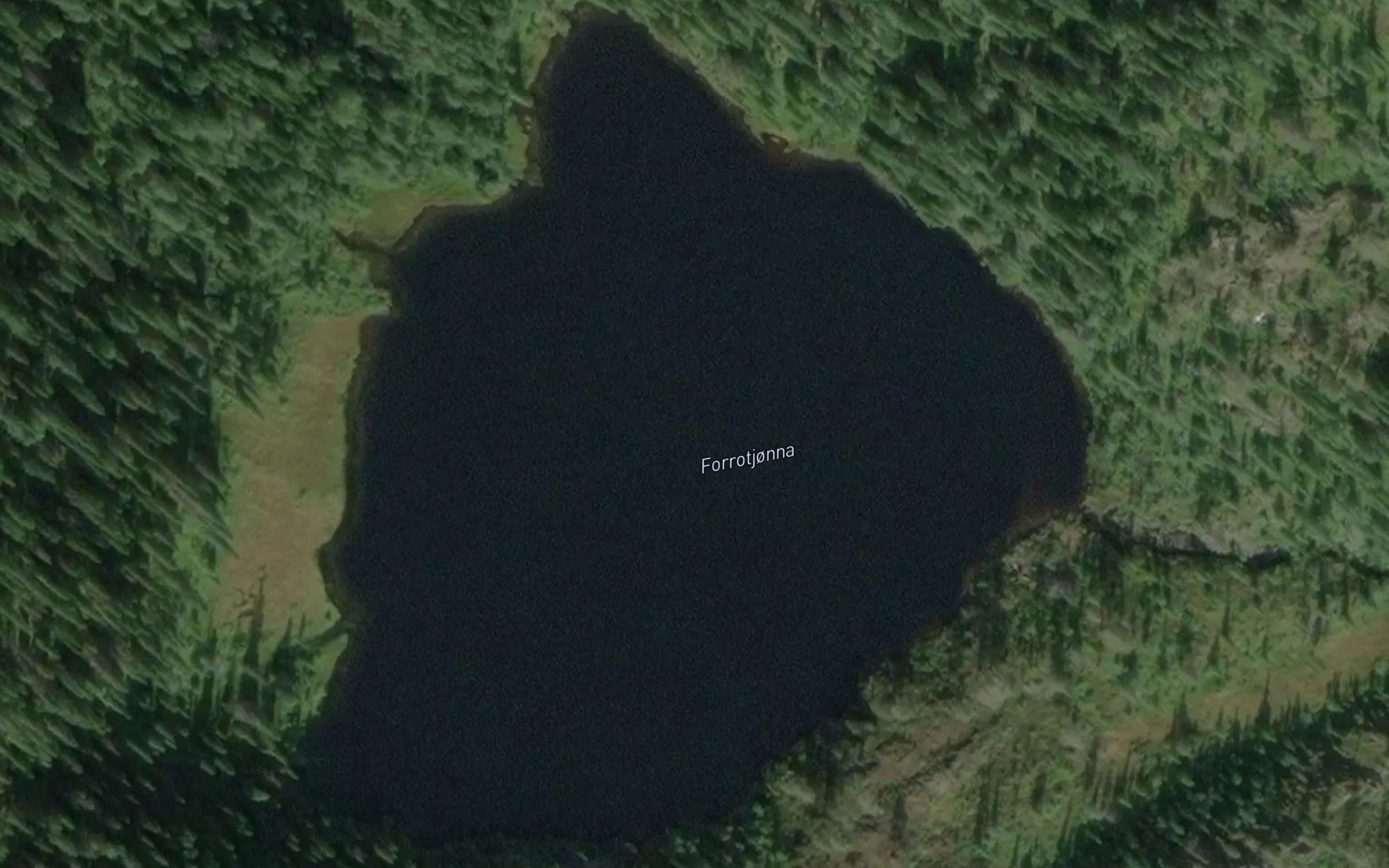 Furutjorna