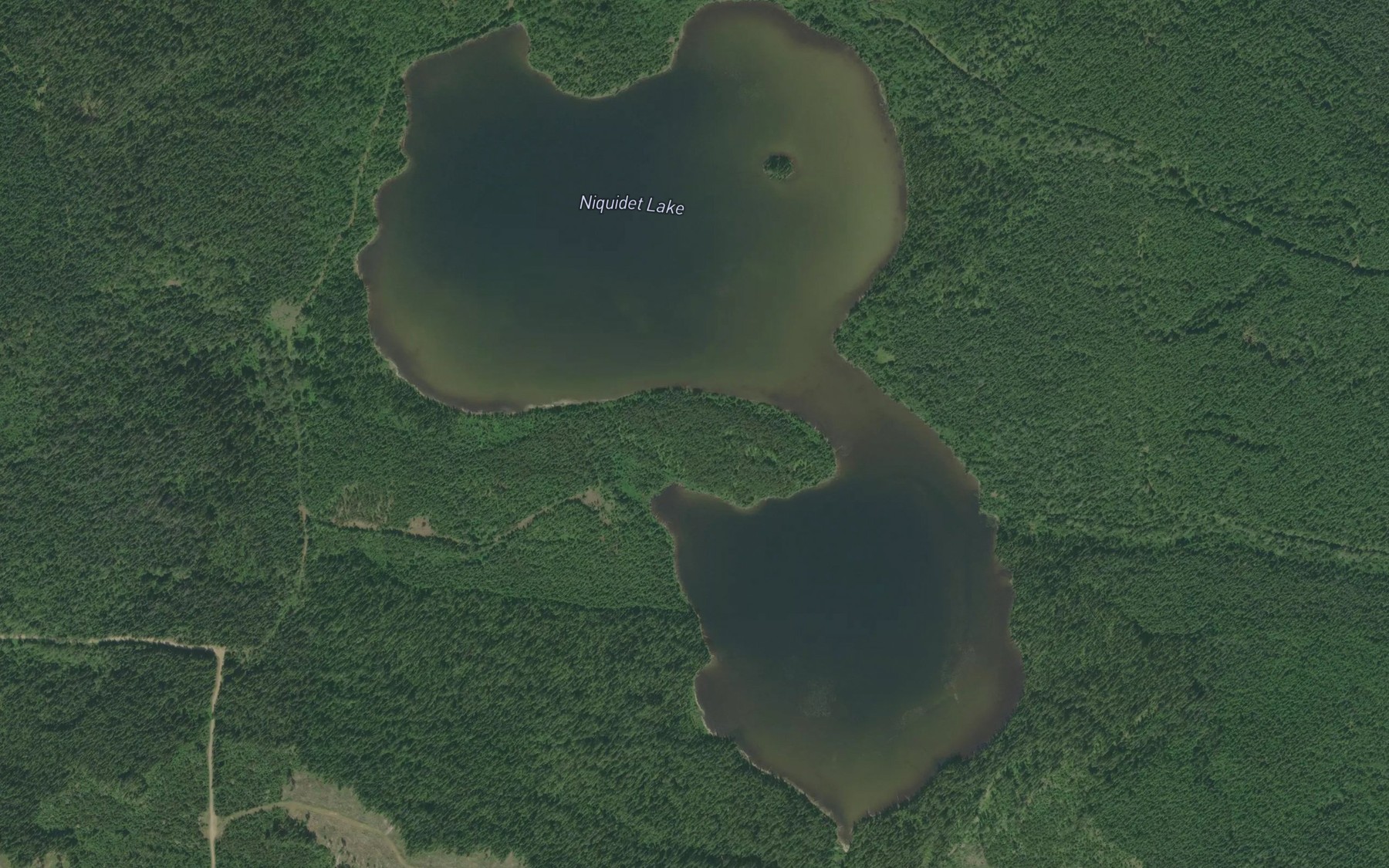 Satellite map of the Niquidet Lake