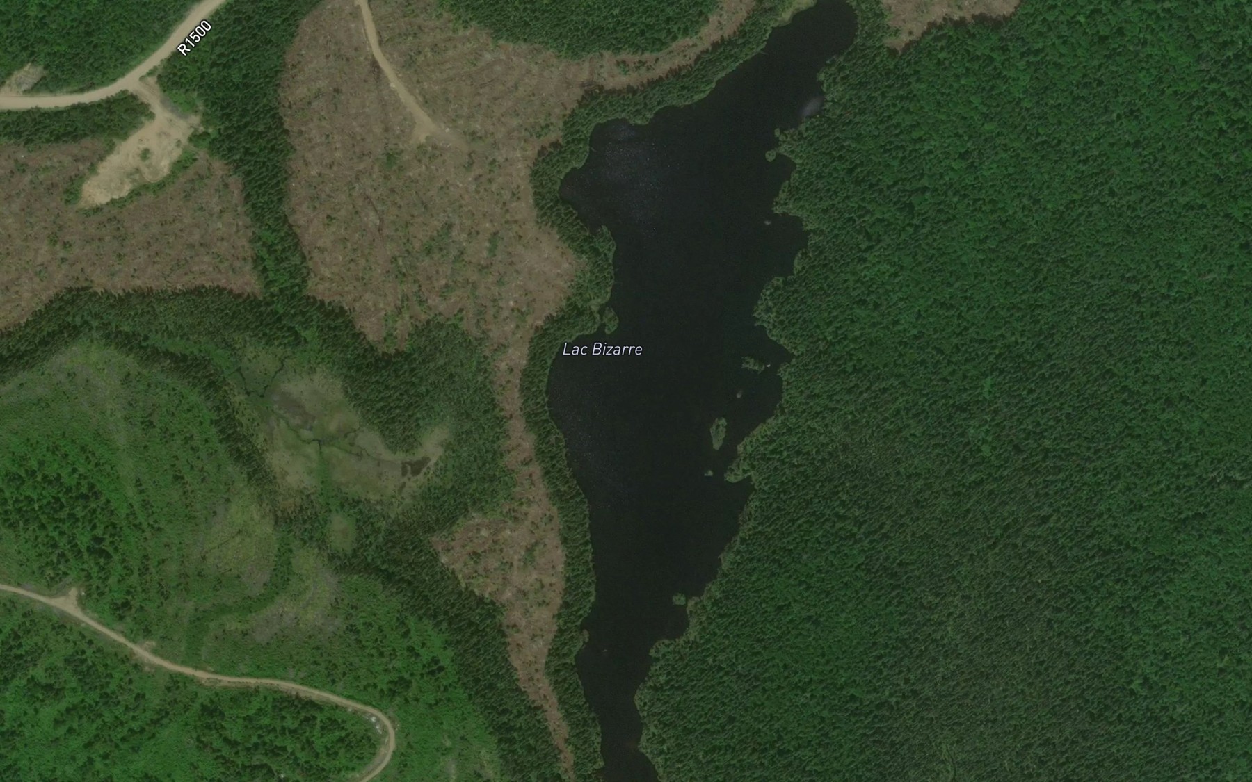 Satellite map of the Lac Bizarre