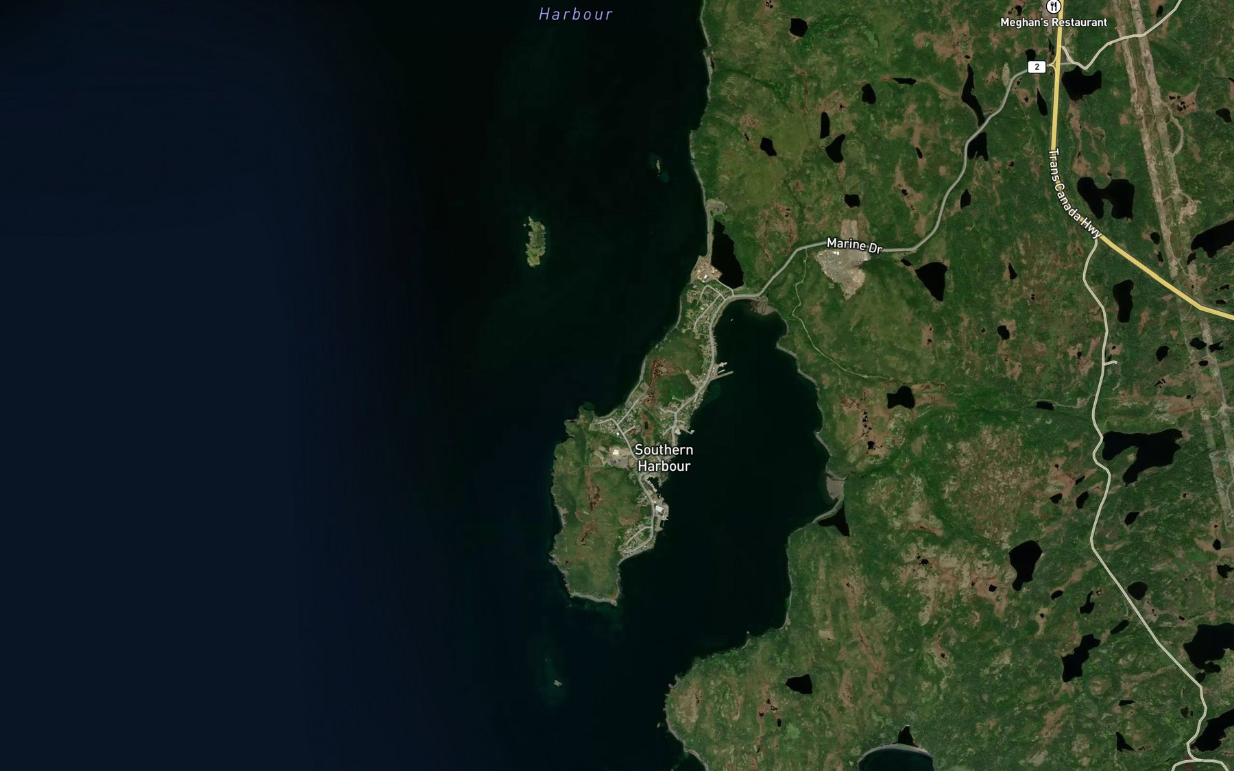 Satellite map of the Back Cove
