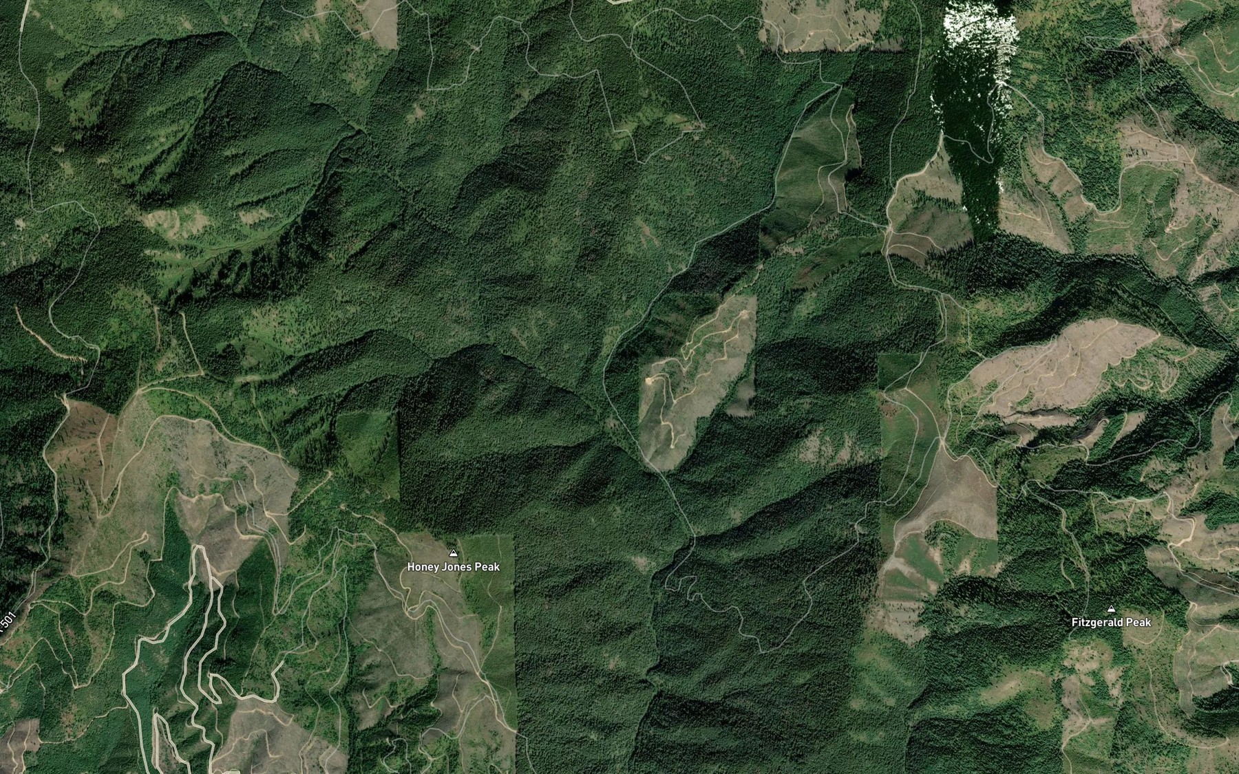 Satellite map of the Mineral Creek