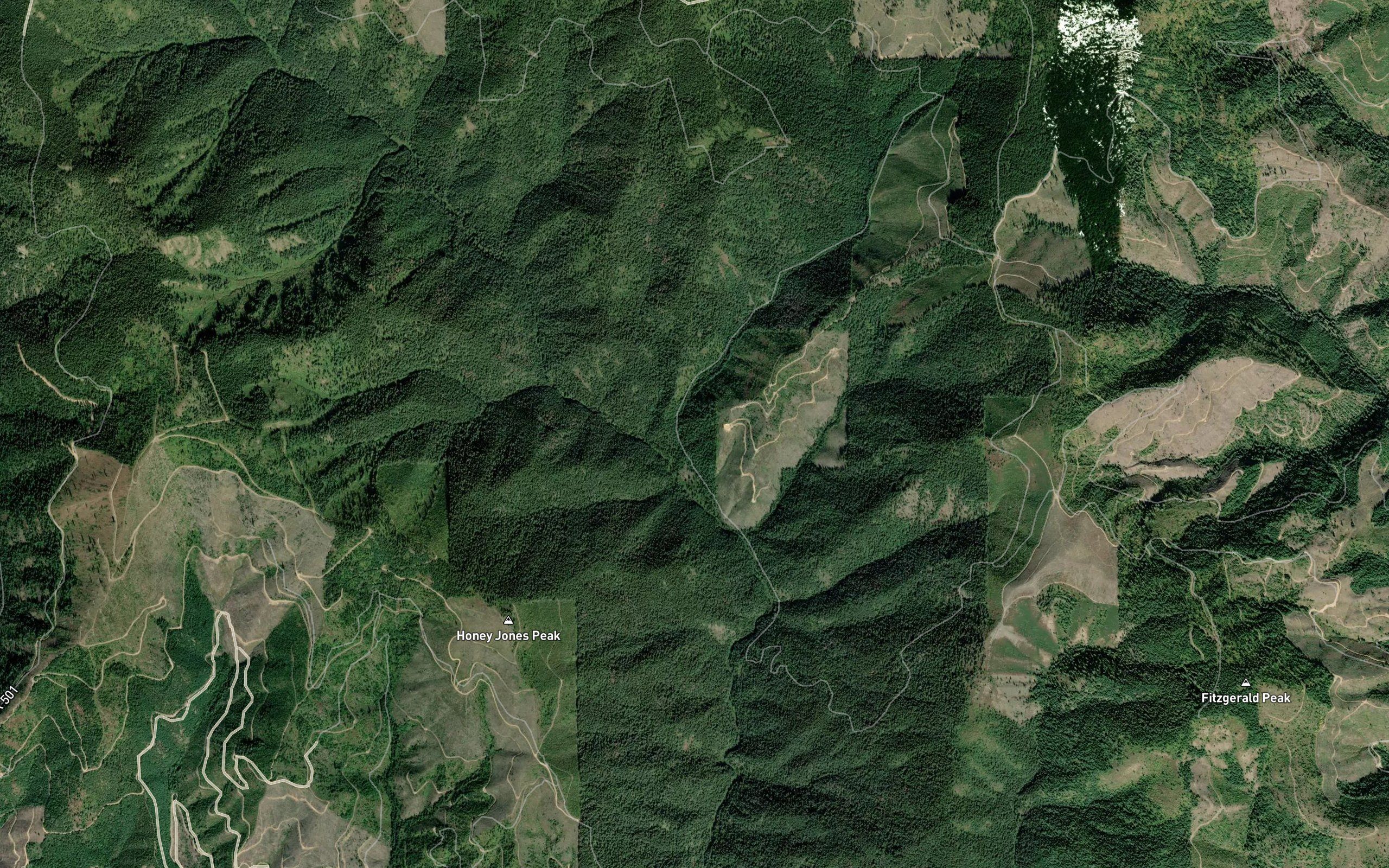 Mineral Creek