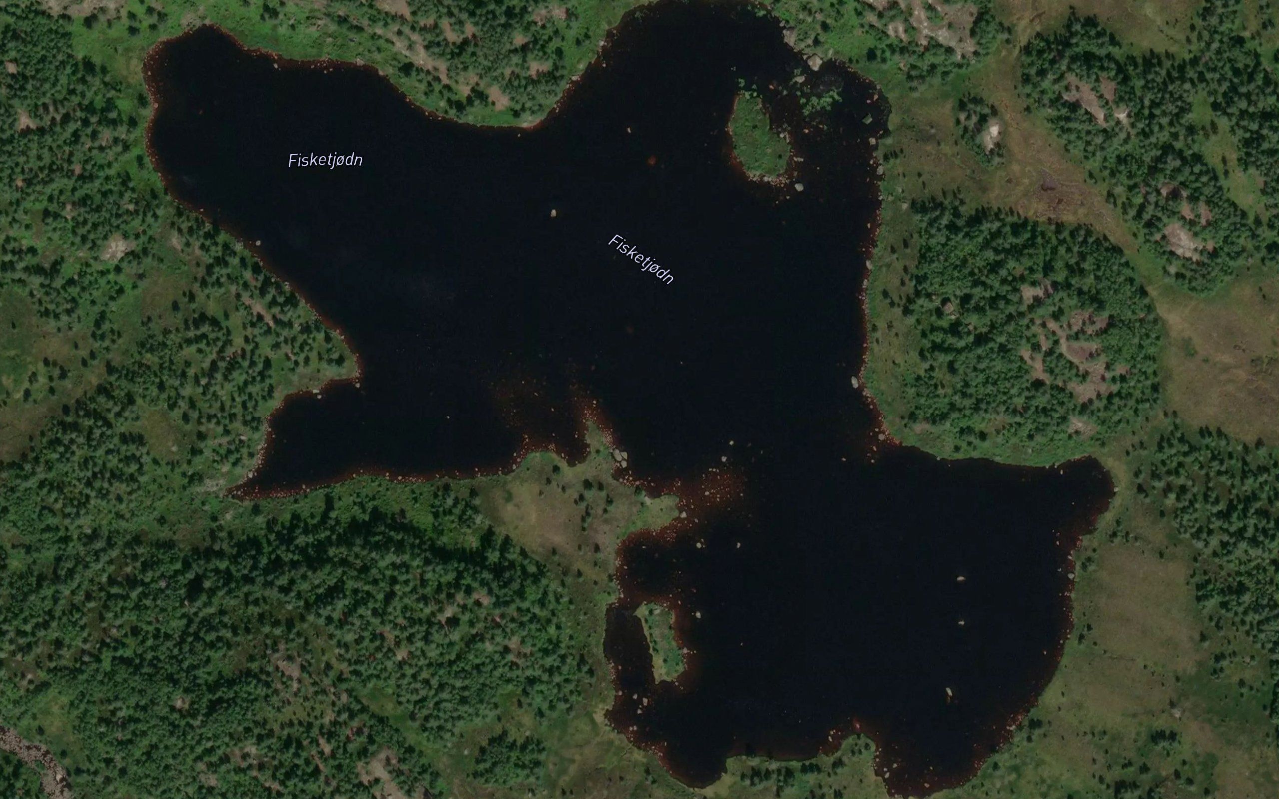 Fisketjorn