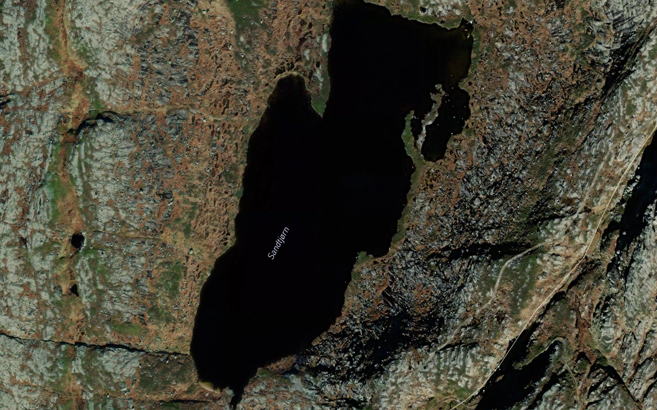 Sandtjorn