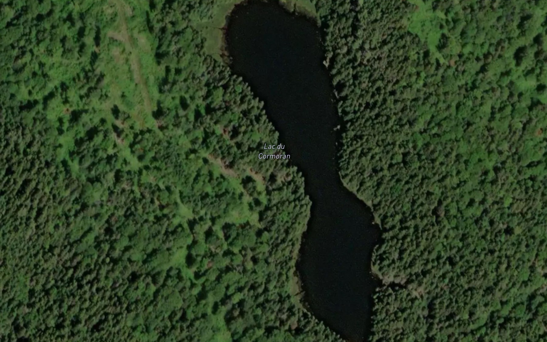 Satellite map of the Lac du Cormoran