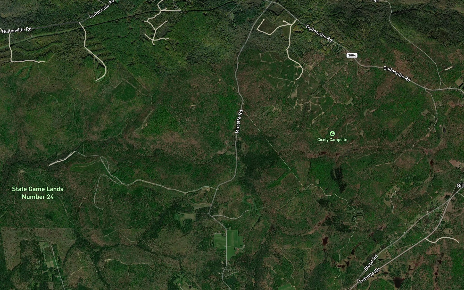 Satellite map of the Ellsworth Run