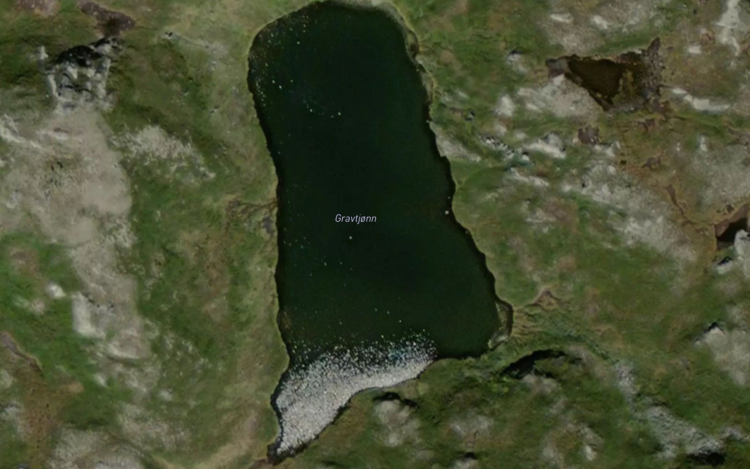 Gravtjorn
