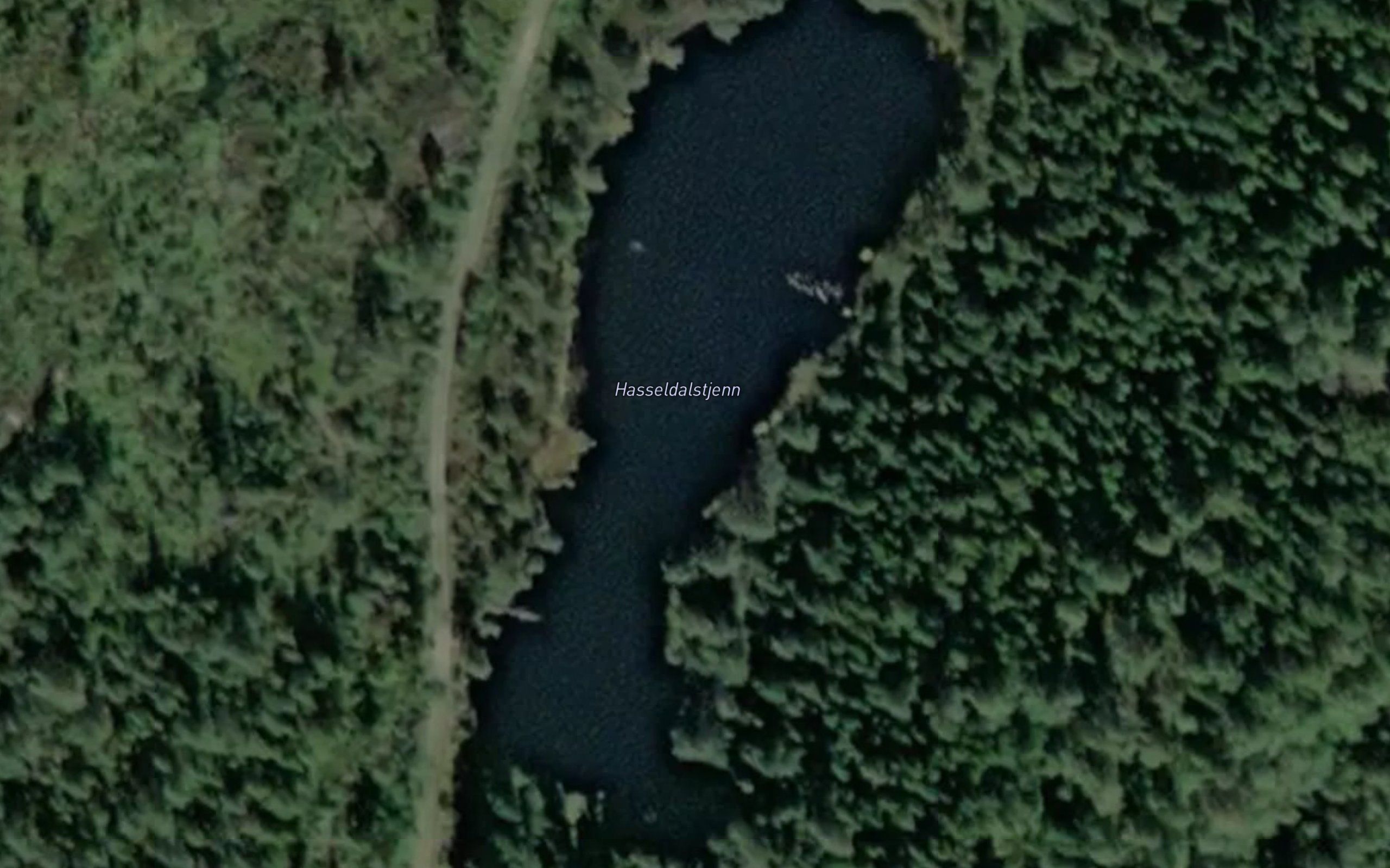 Hasseldalstjenn