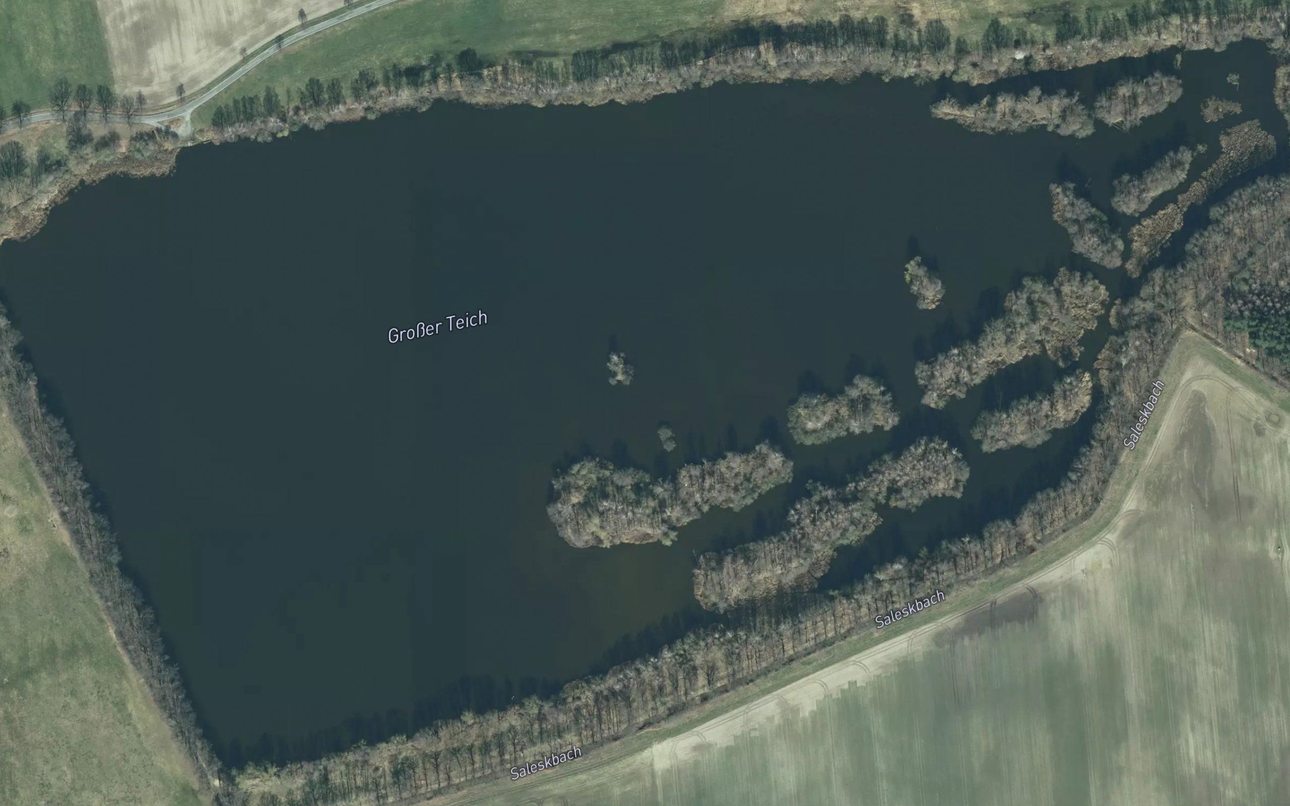 Grosser Teich