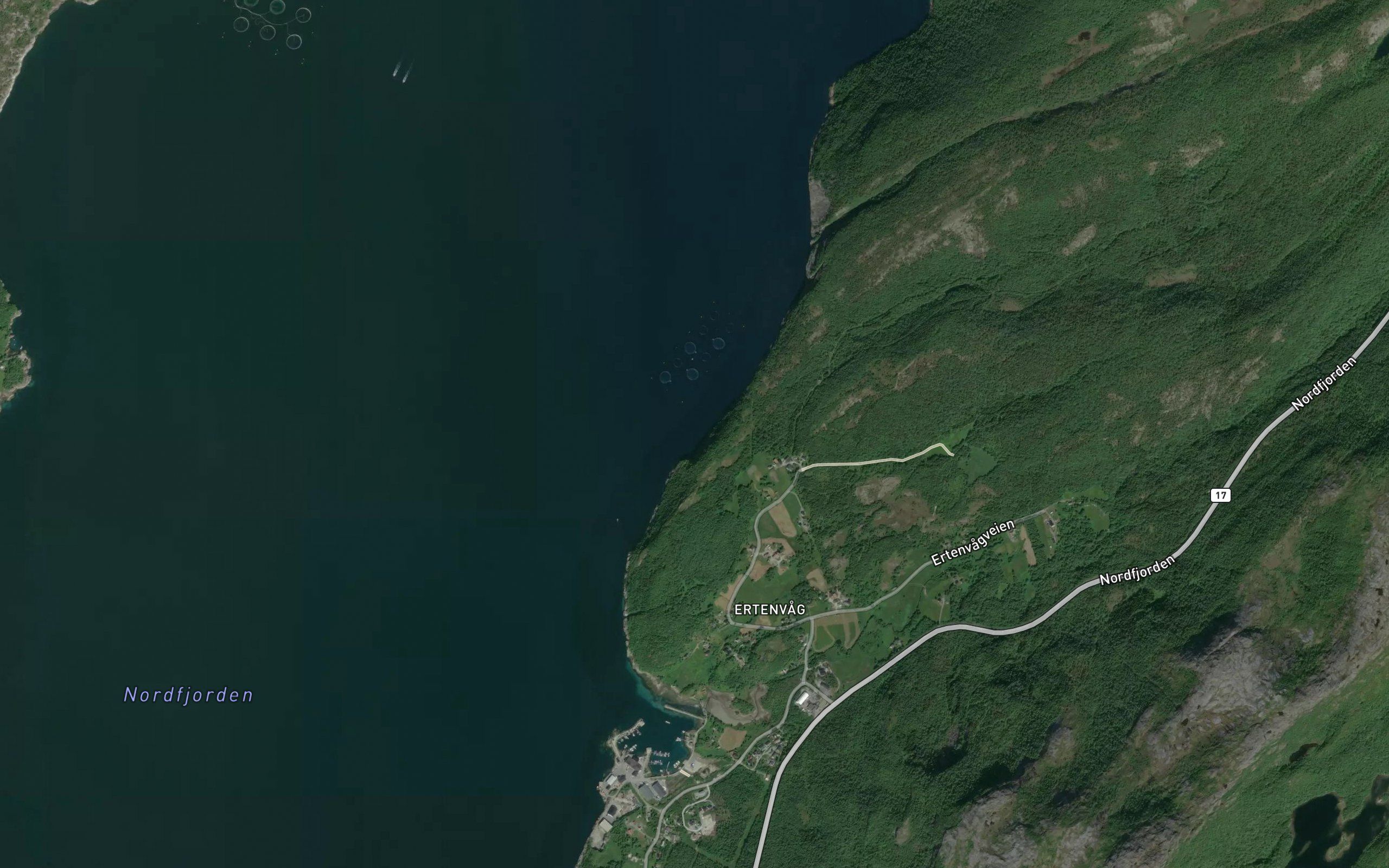 Hammarvika
