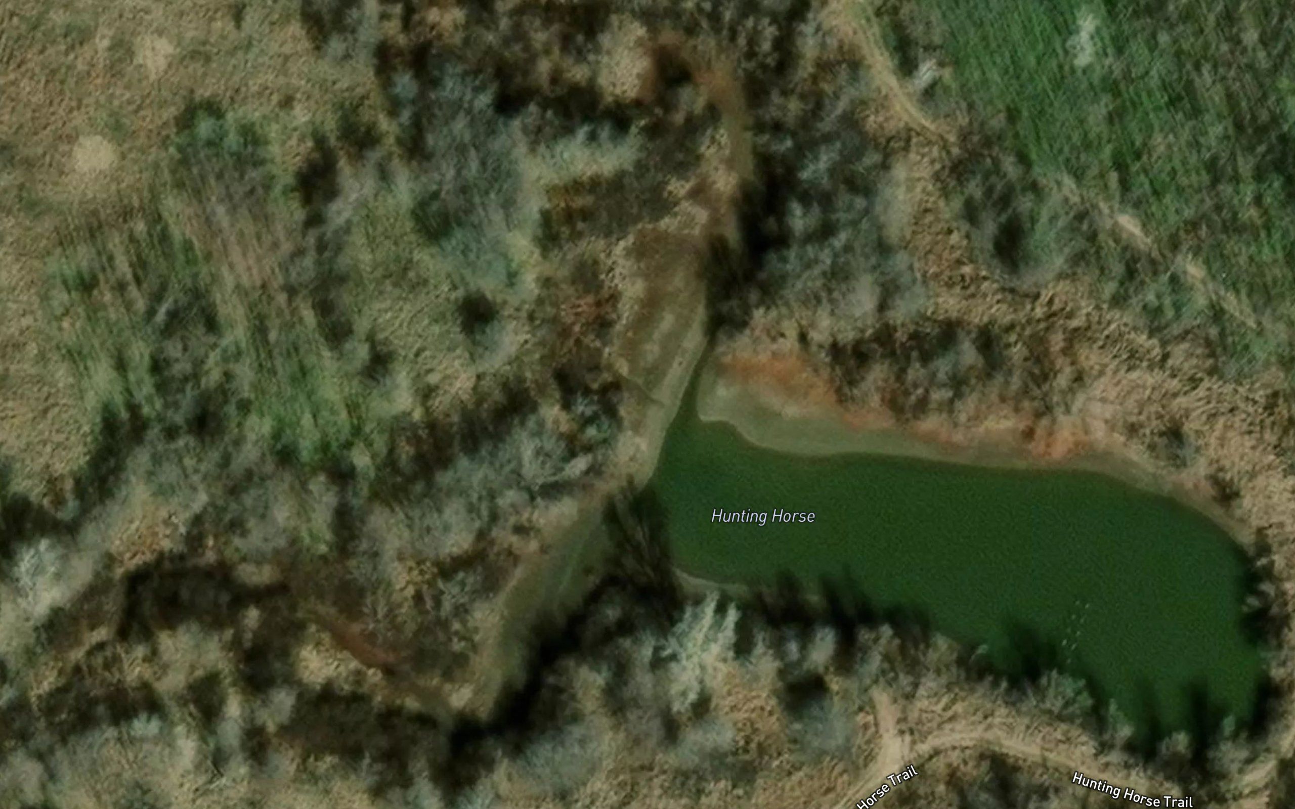 Hunting Horse Pond