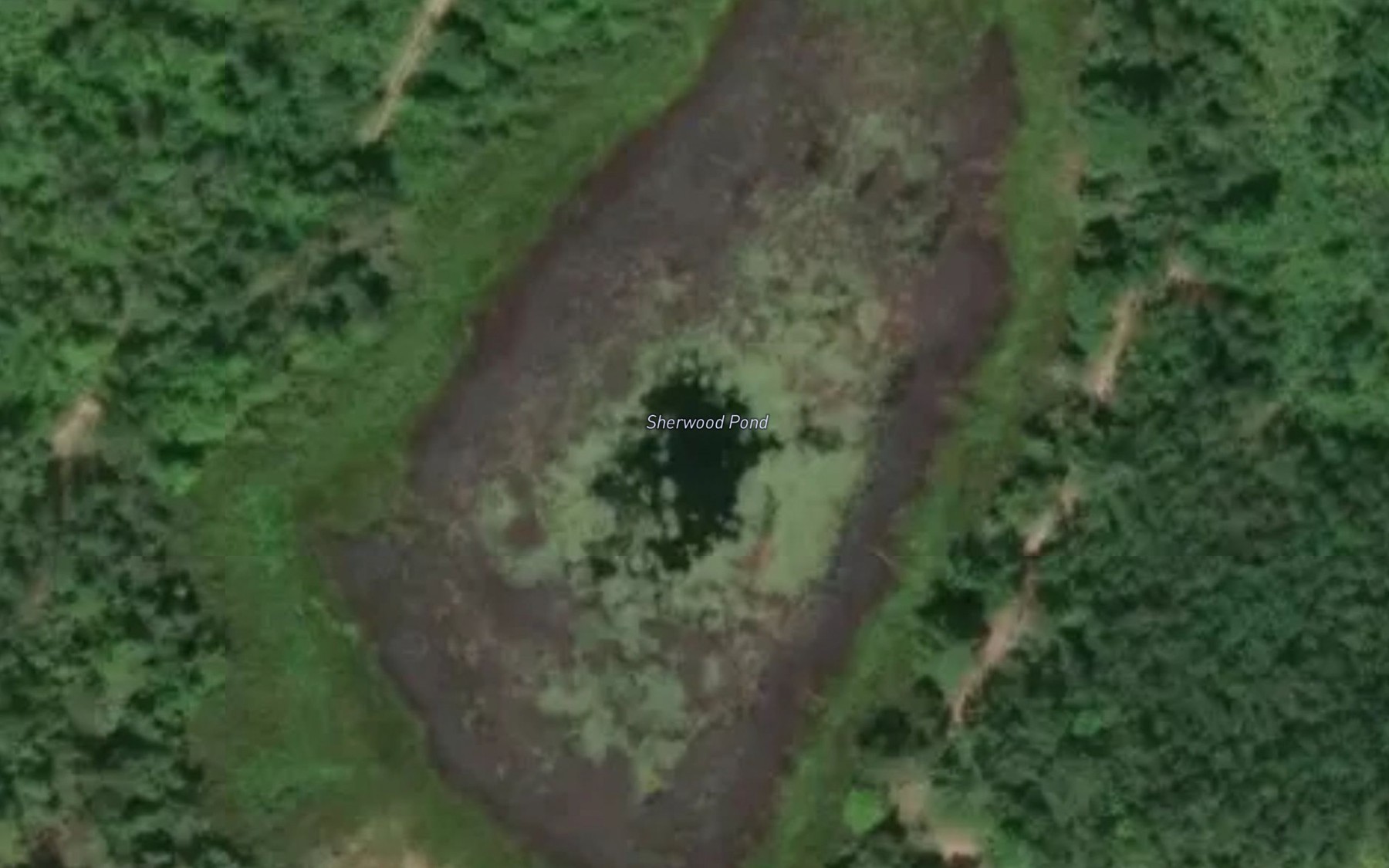 Satellite map of the Sherwood Pond