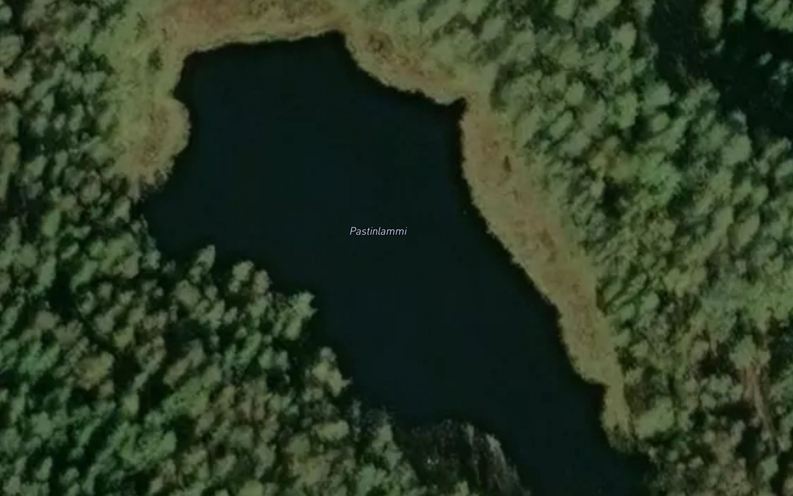Pastinlammi