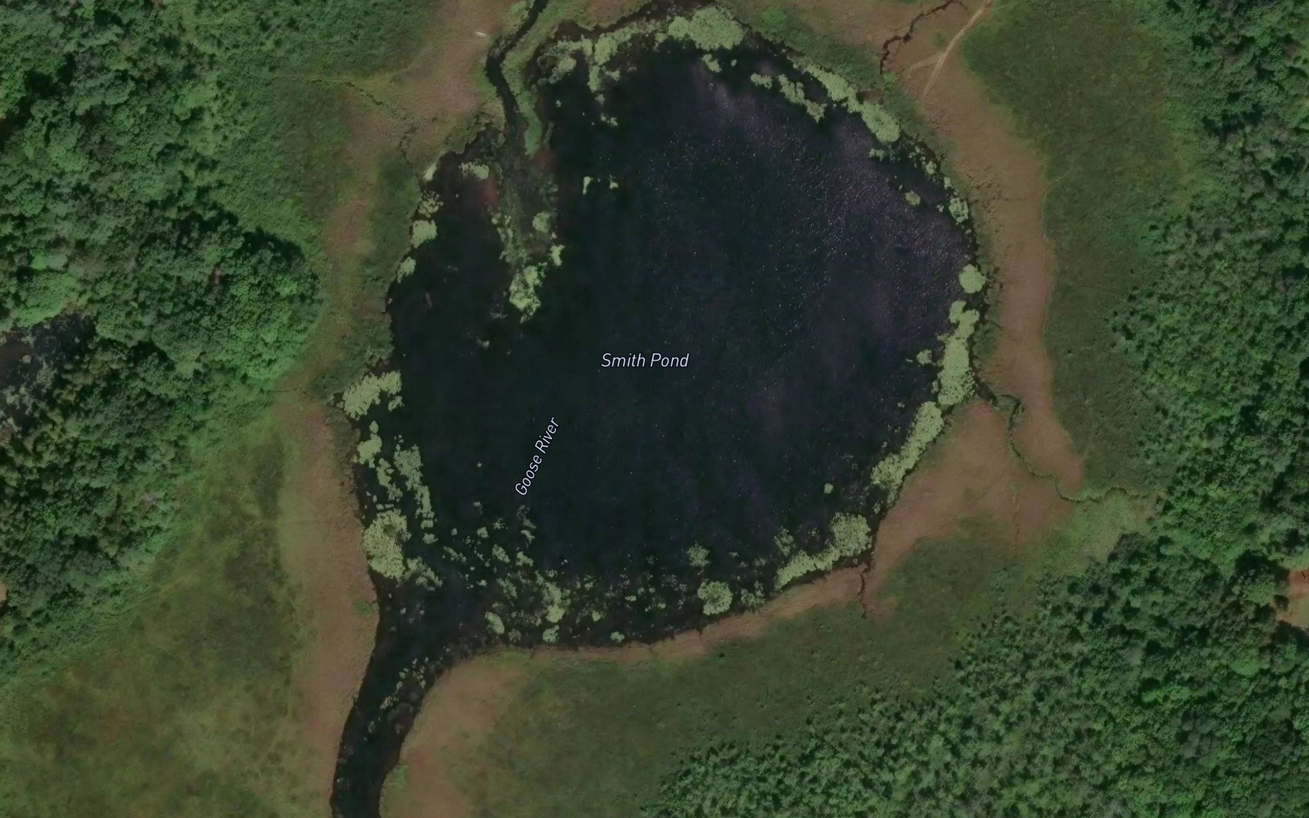 Smith Pond