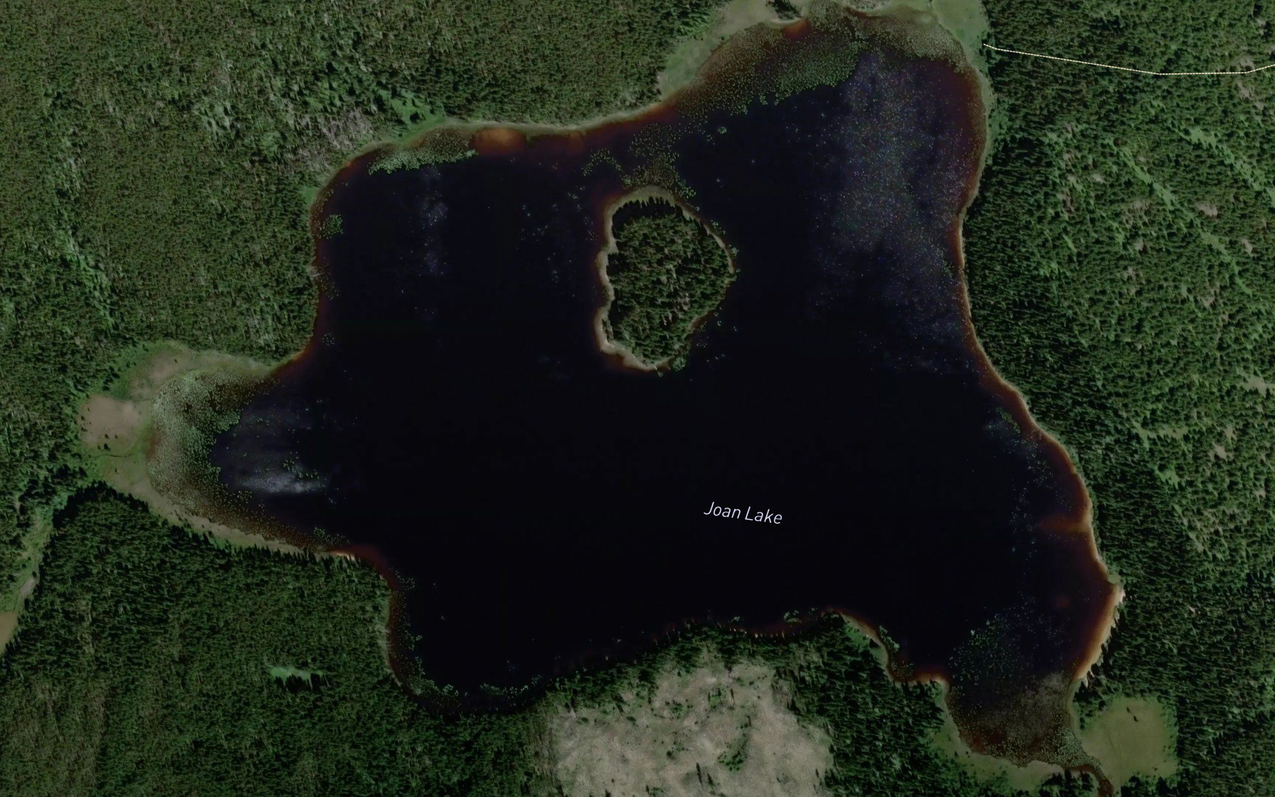Joan Lake