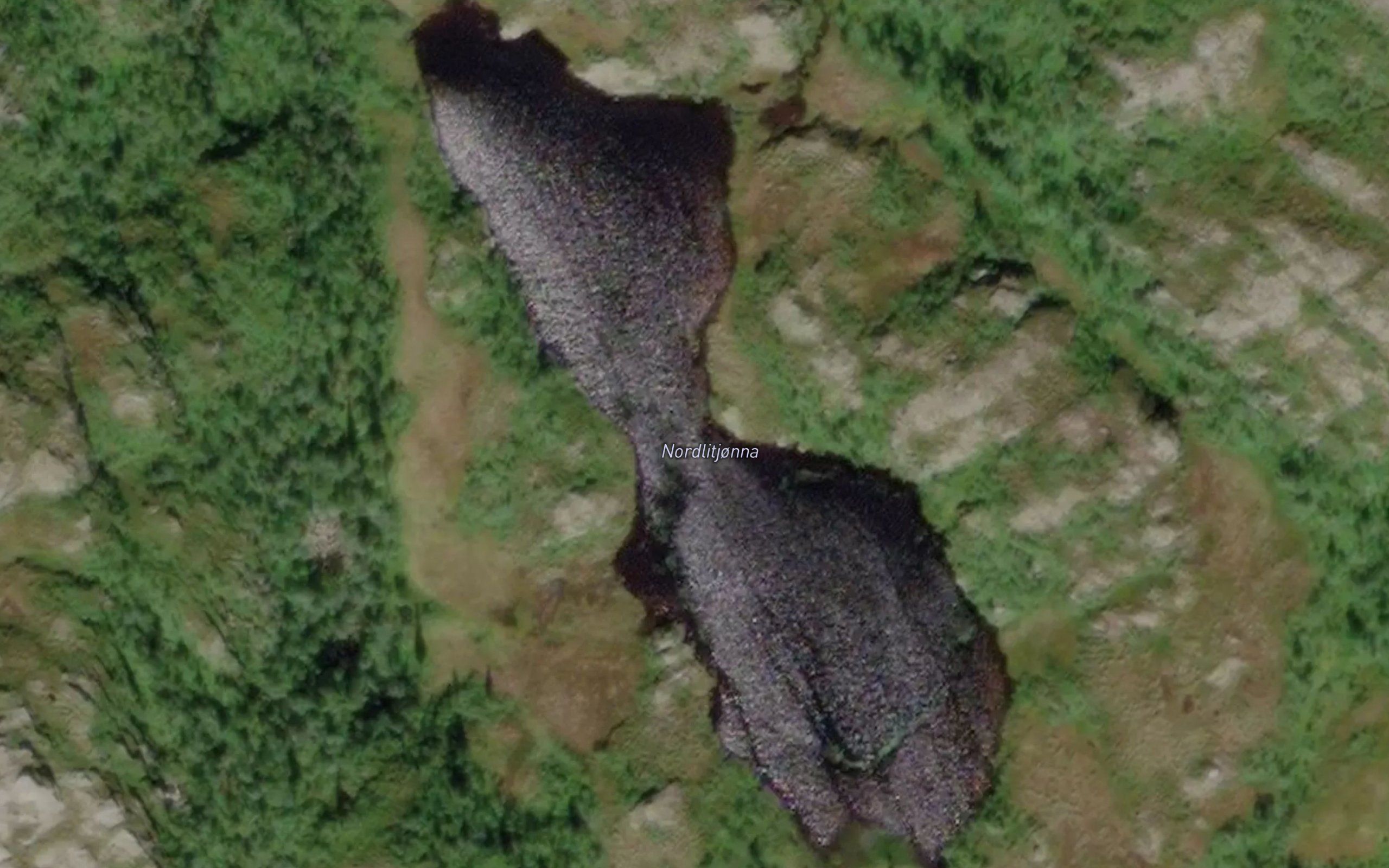 Nordlitjonna