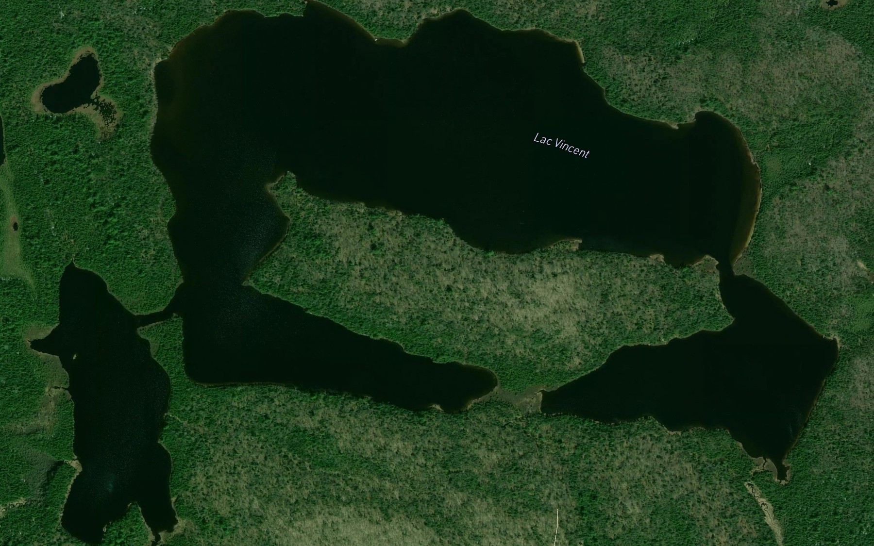 Satellite map of the Lac Vincent