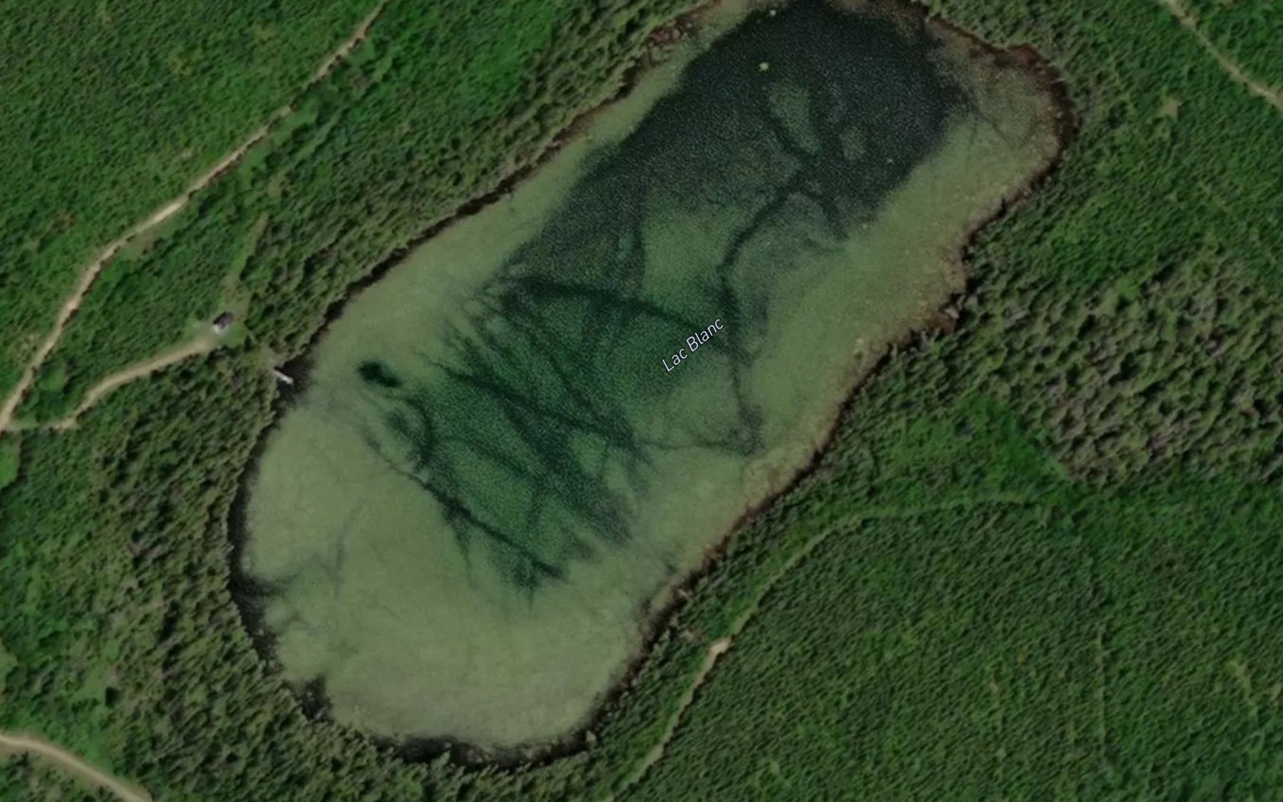 Satellite map of the Lac Blanc