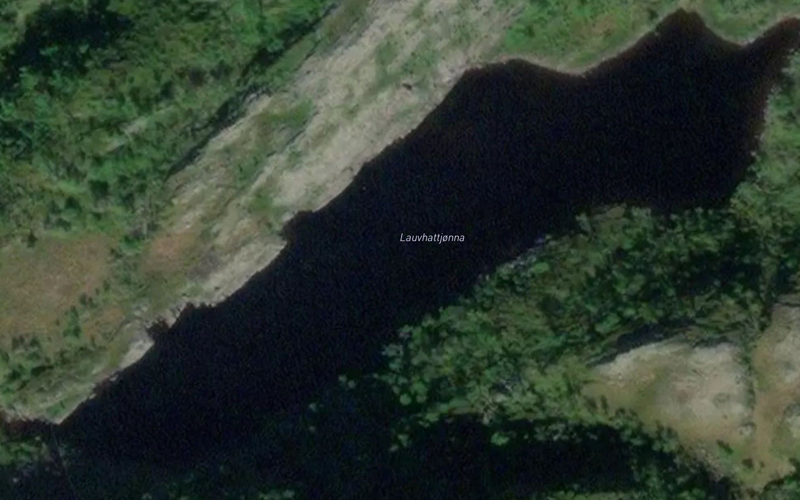 Lauvhattjonna