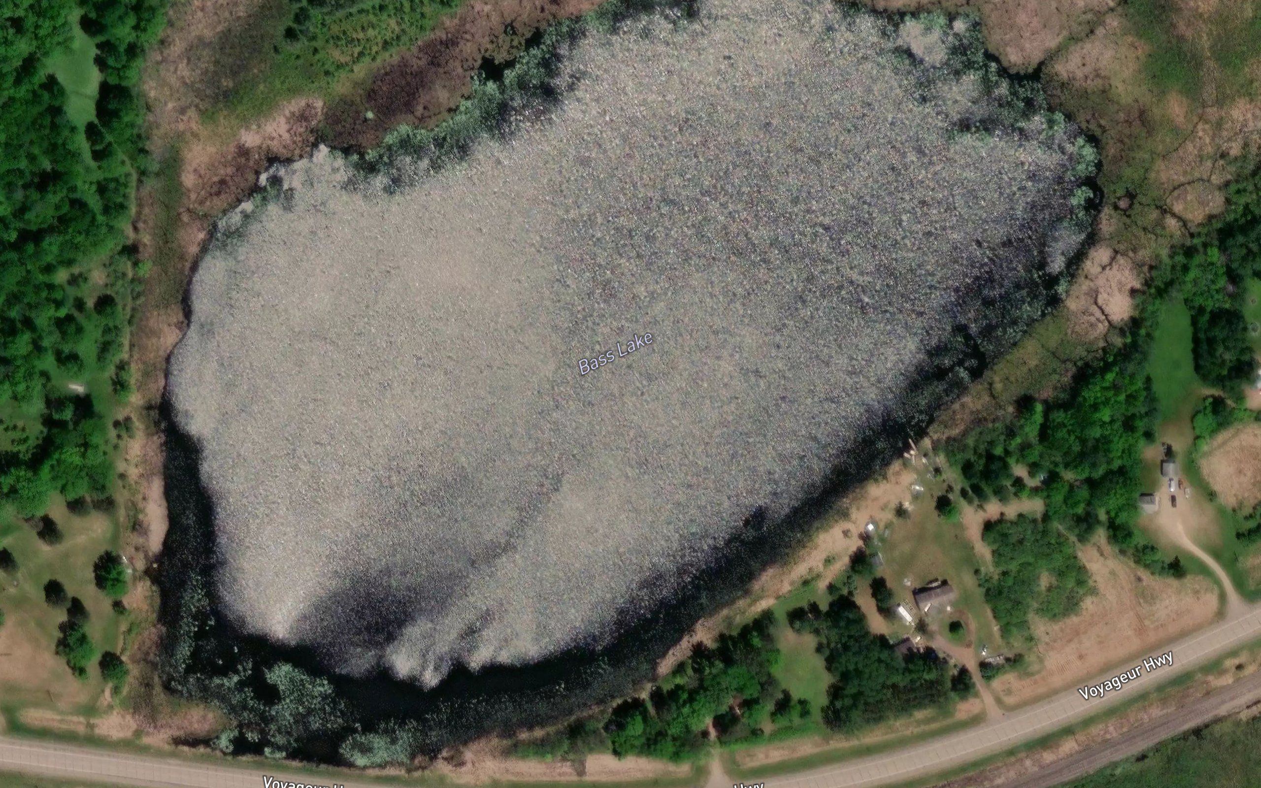 Bass Lake