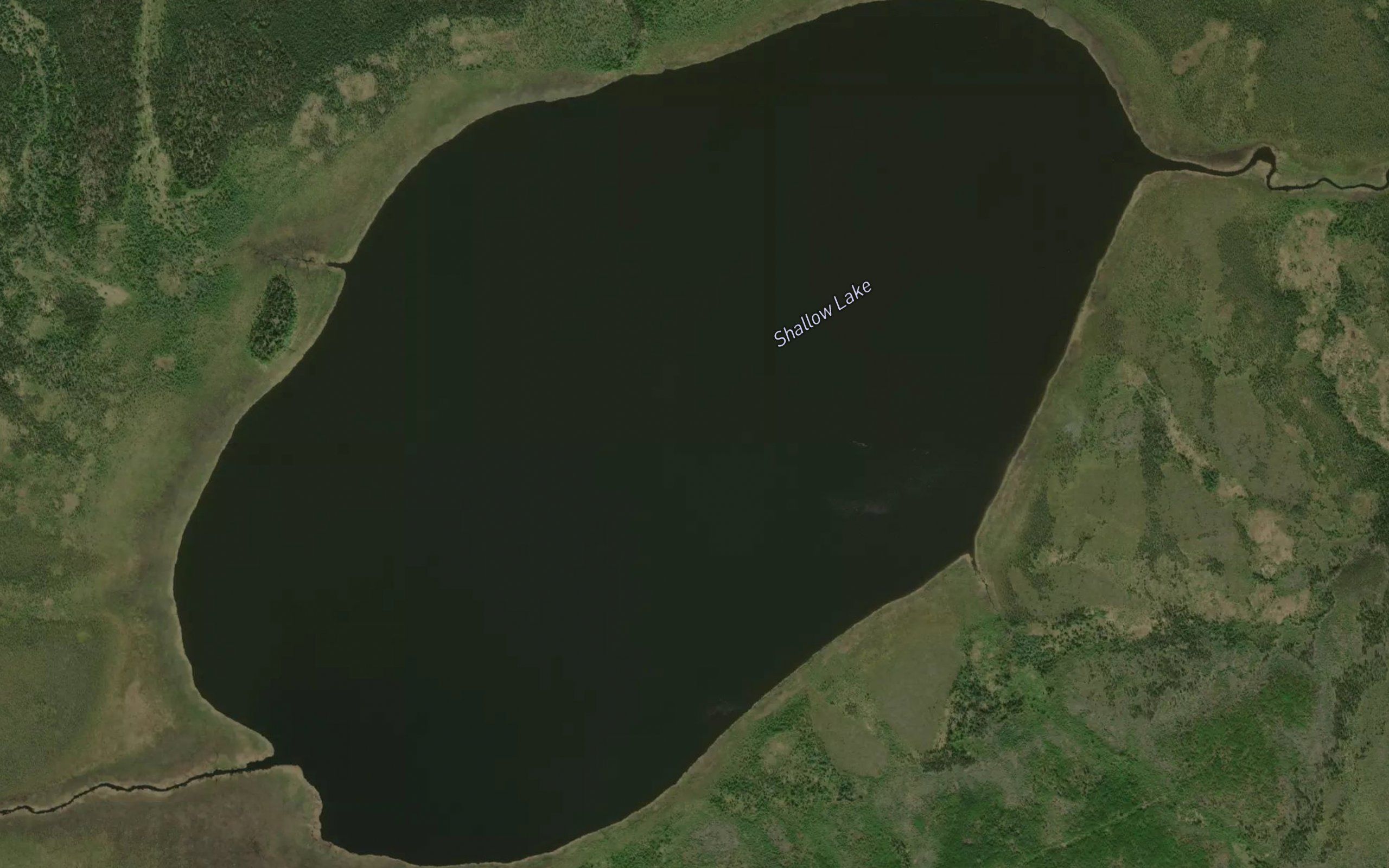 Shallow Lake