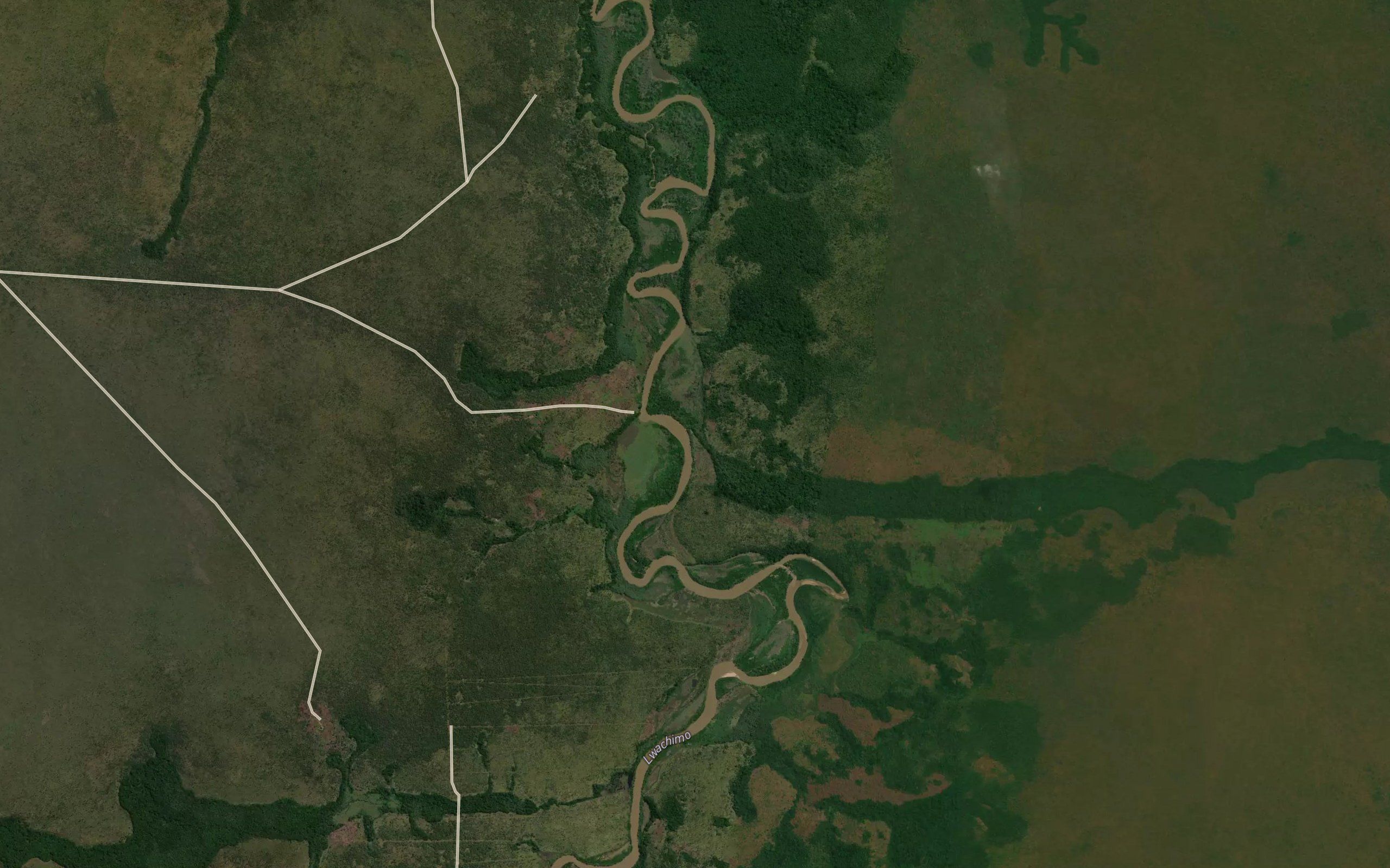 Maculo