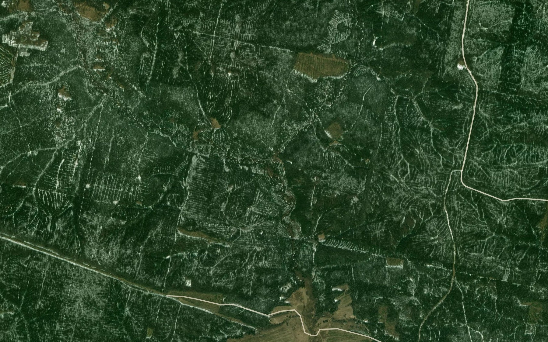 Satellite map of the Severnyy Roman-Shor