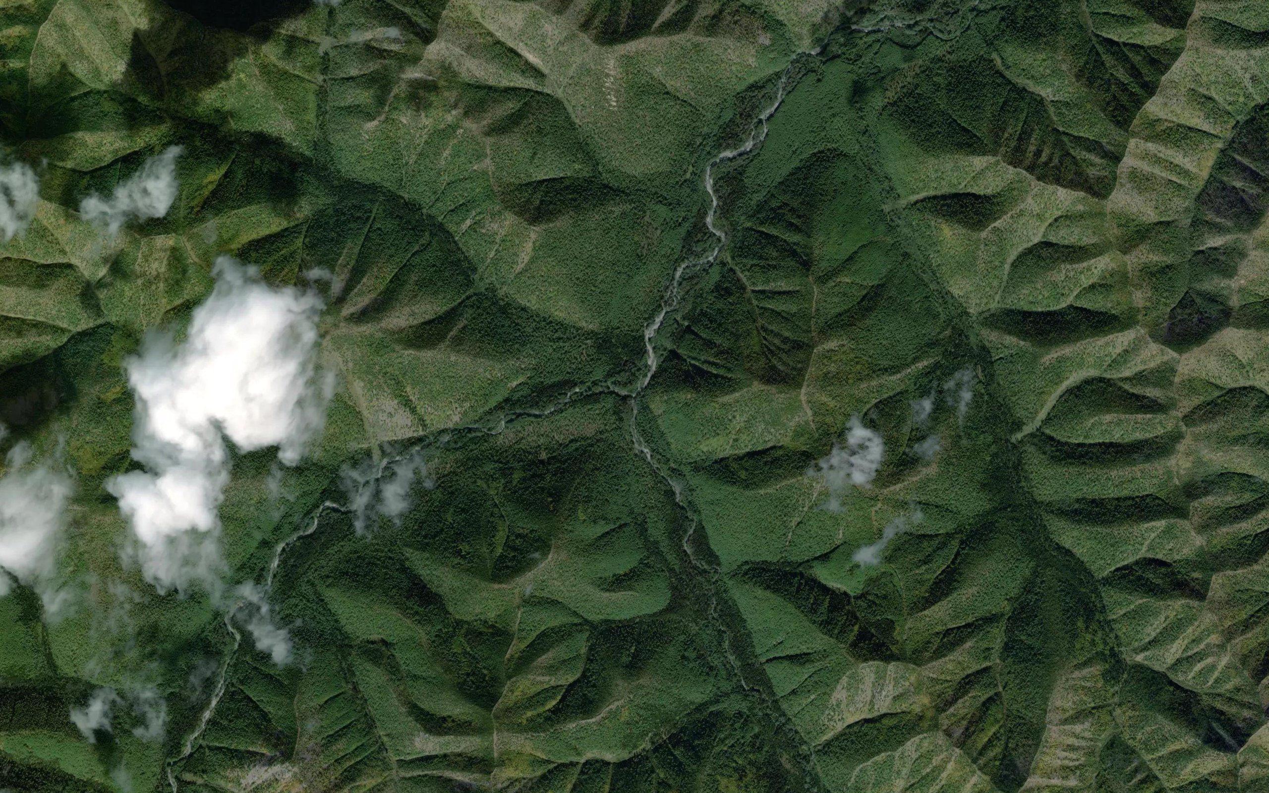 Kurum