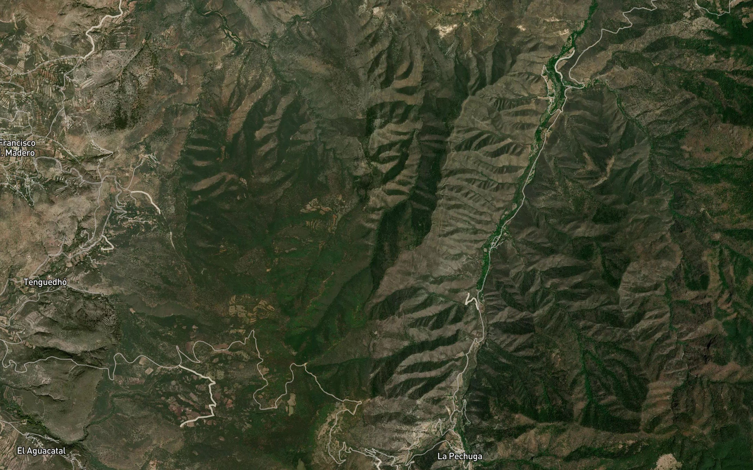 Barranca Coni
