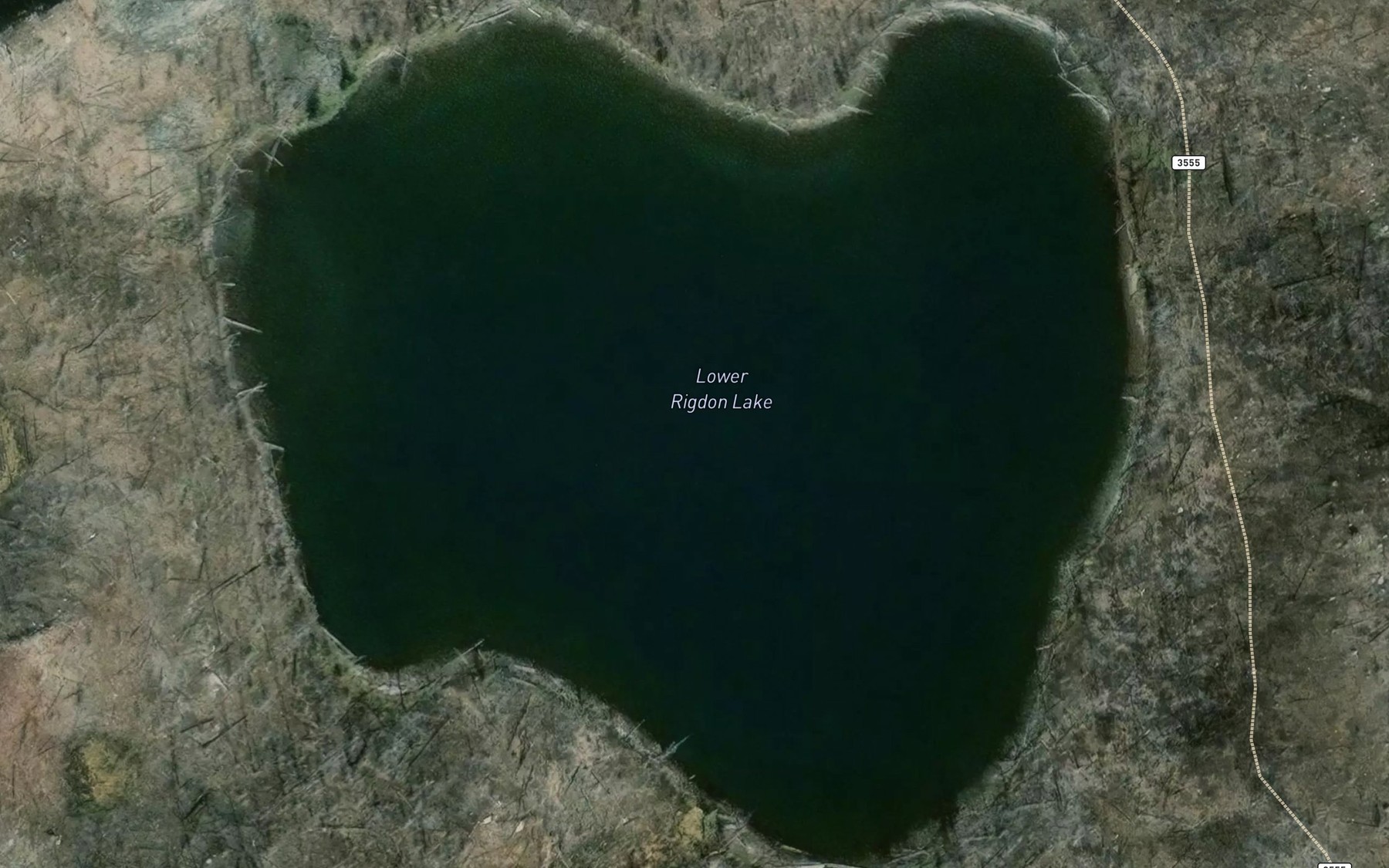 Satellite map of the Lower Rigdon Lake